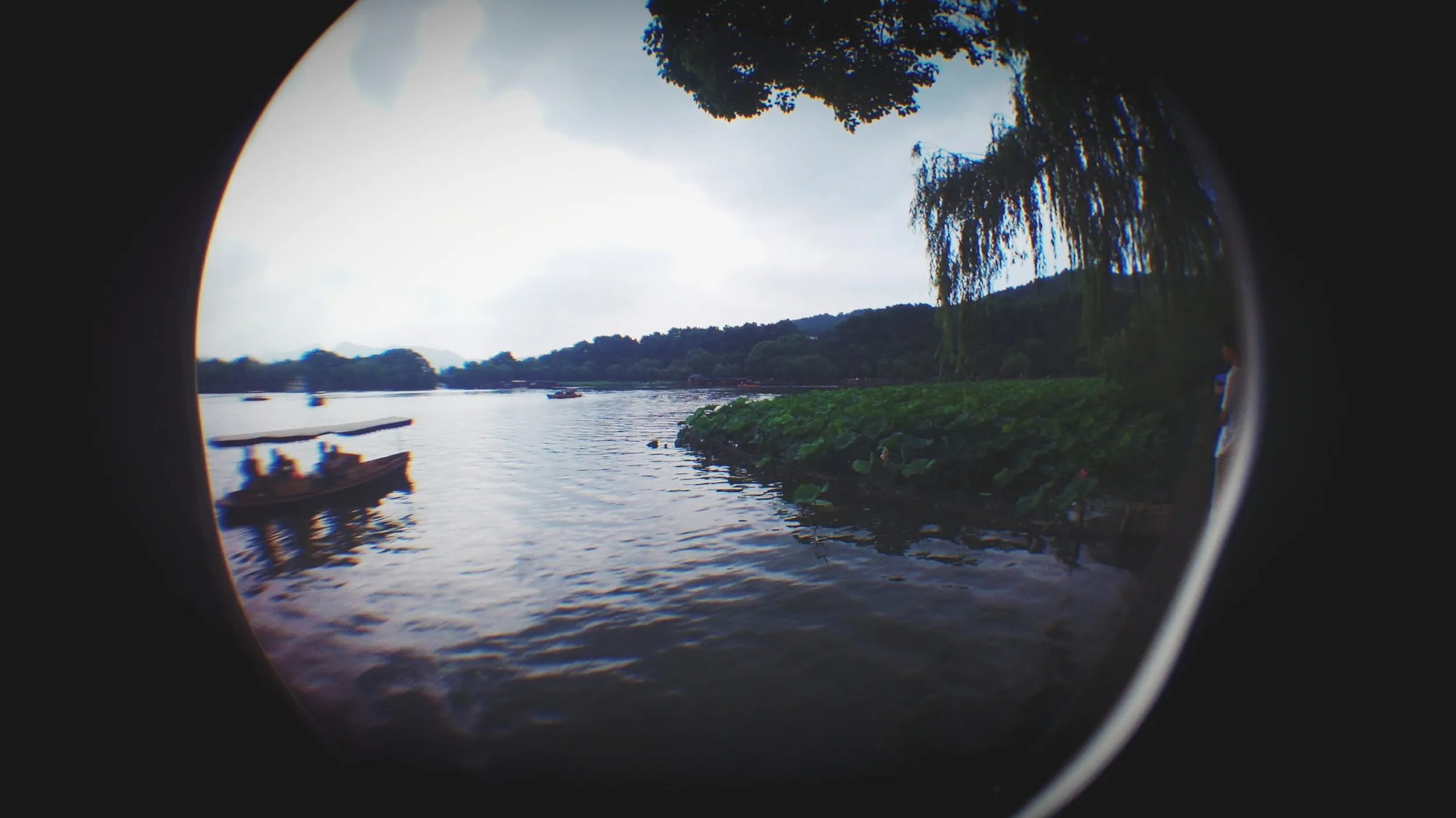 白堤と蘇堤付近から西湖を眺める