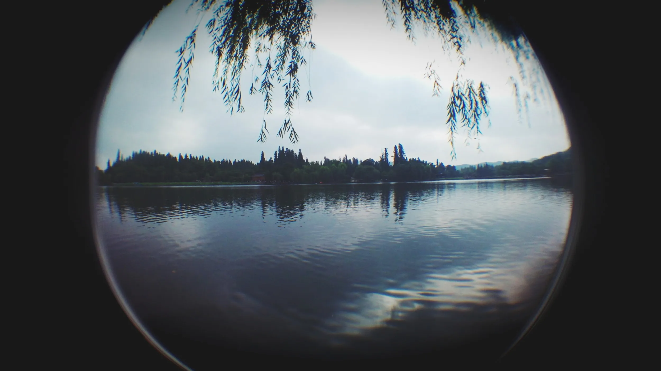 蘇堤から眺めた西湖の風景