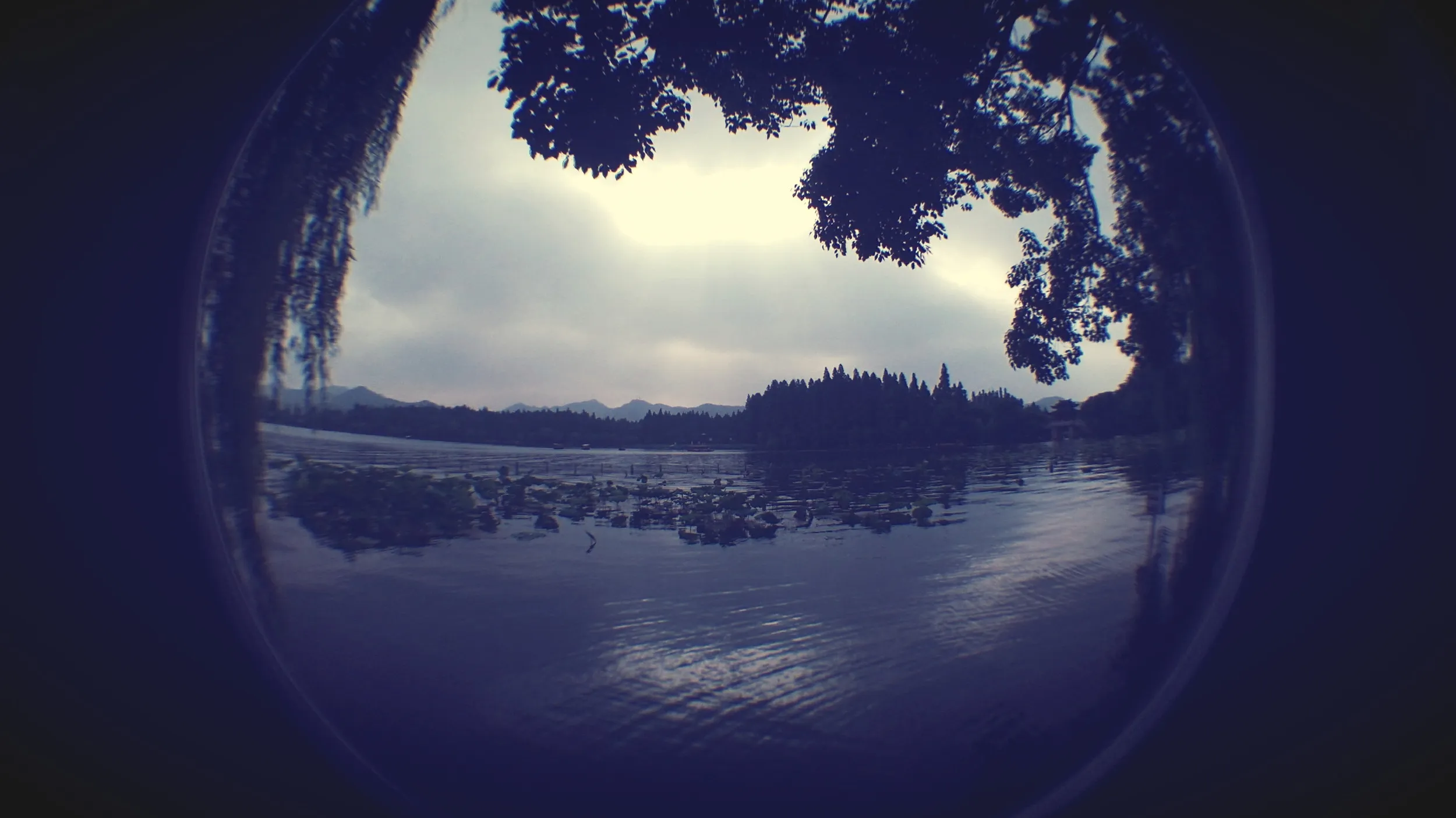 蘇堤から眺めた西湖の風景