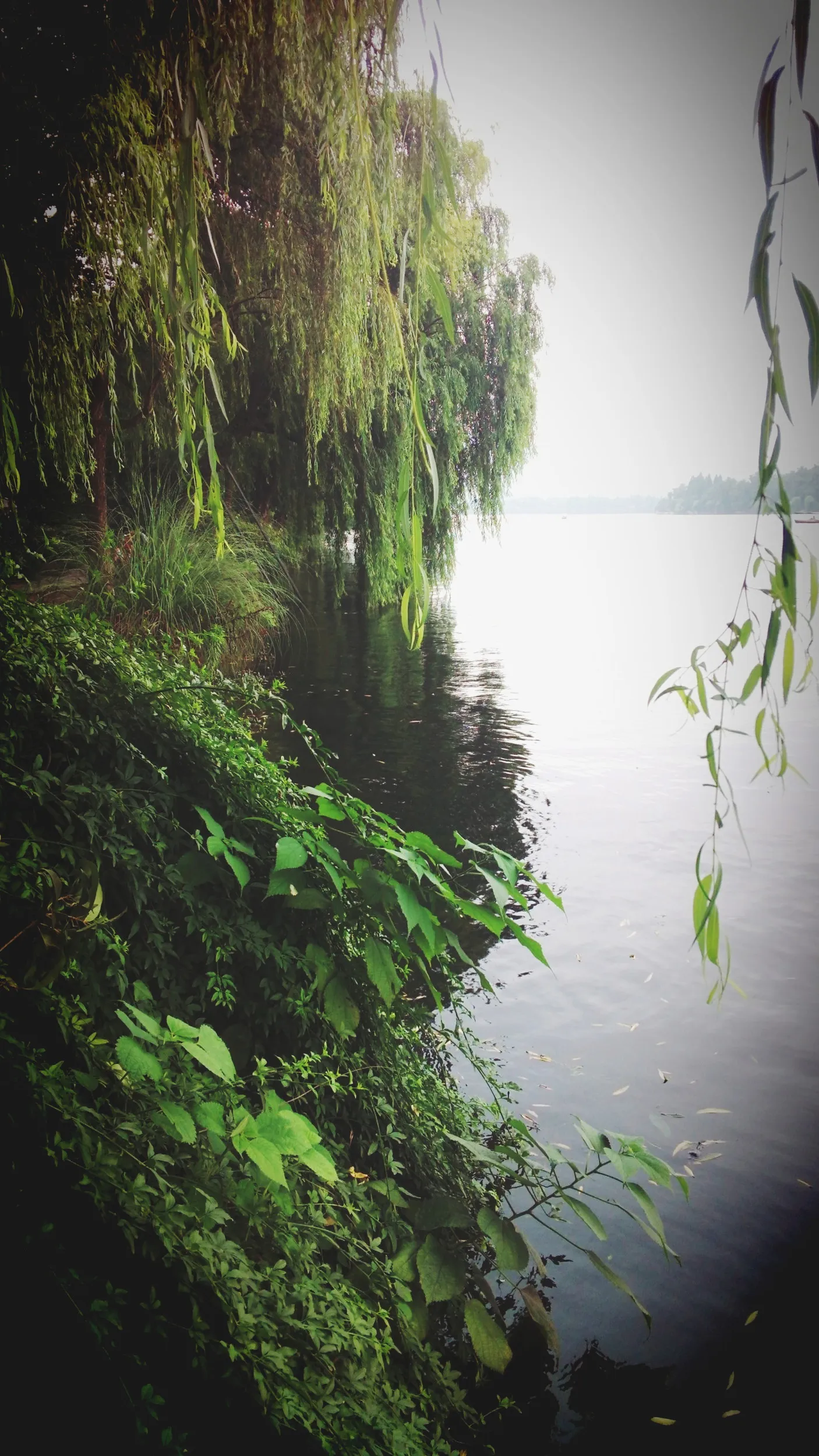 蘇堤から眺めた西湖の風景