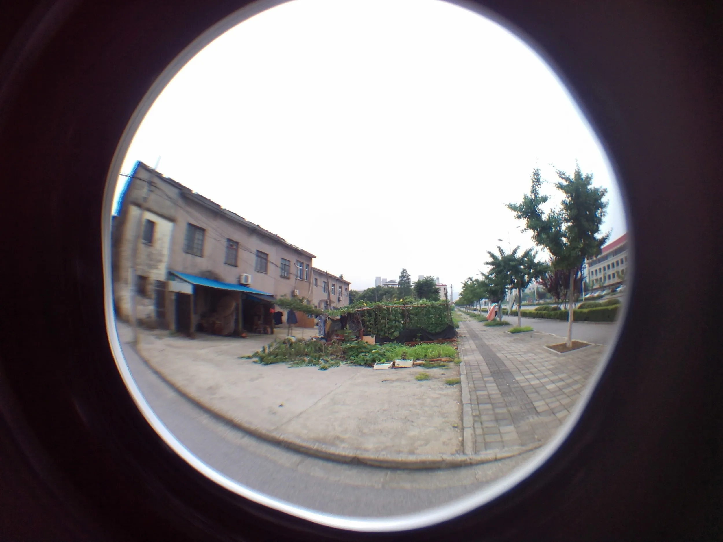 方橋商住小区付近の風景