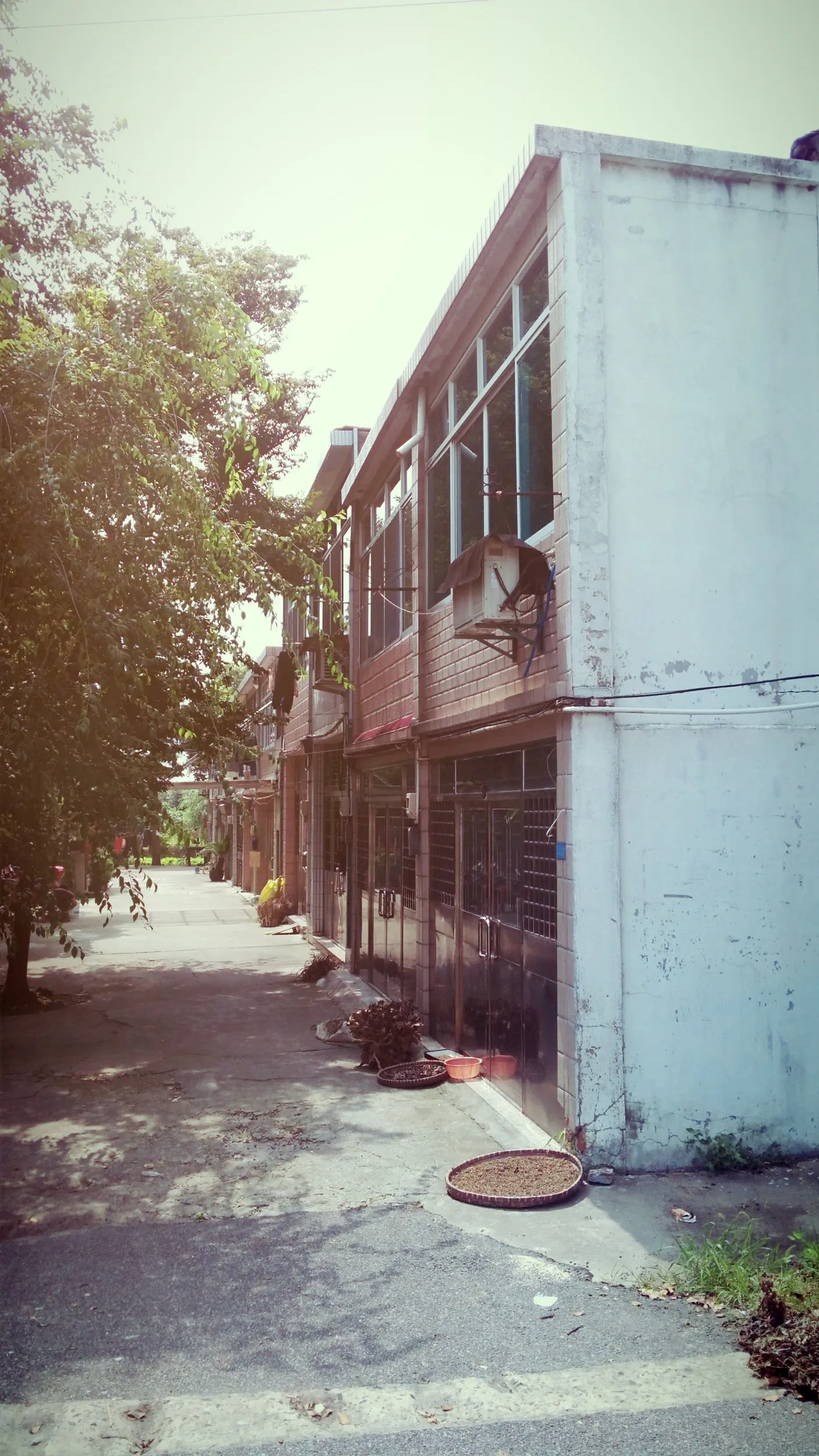 太湖大堤へ向かう