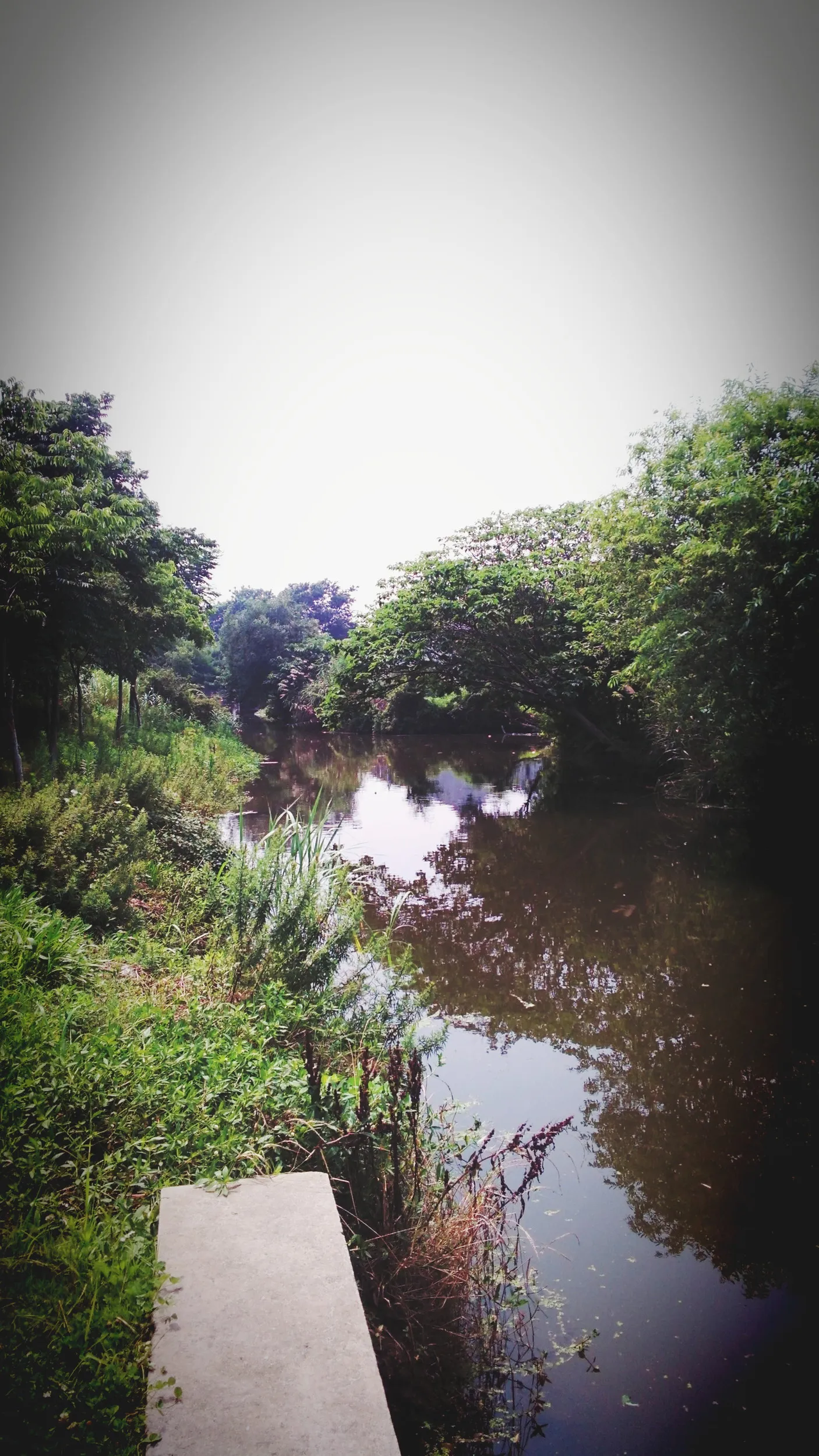 太湖大堤周辺の風景