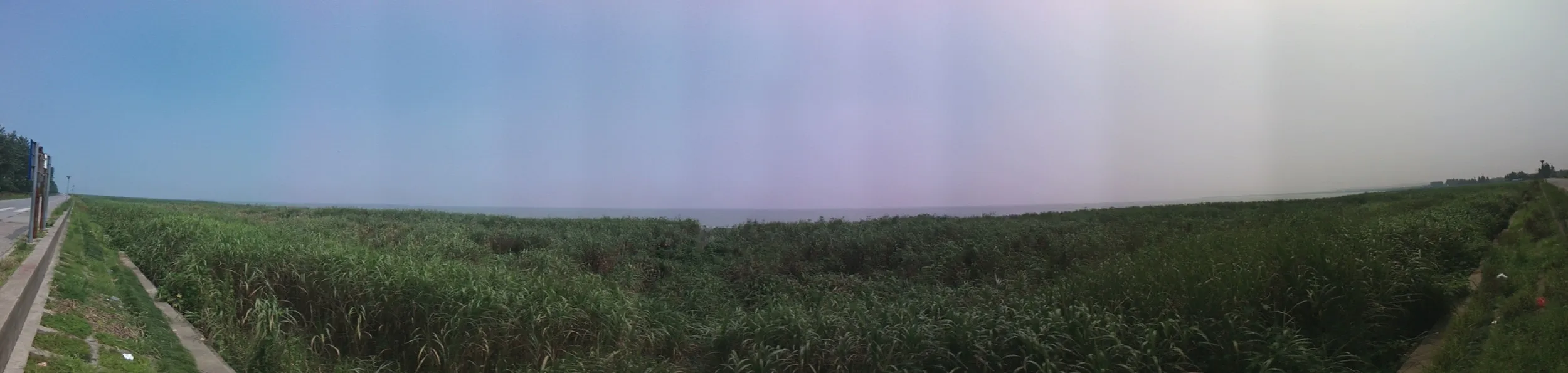 太湖大堤から太湖をパノラマ撮影