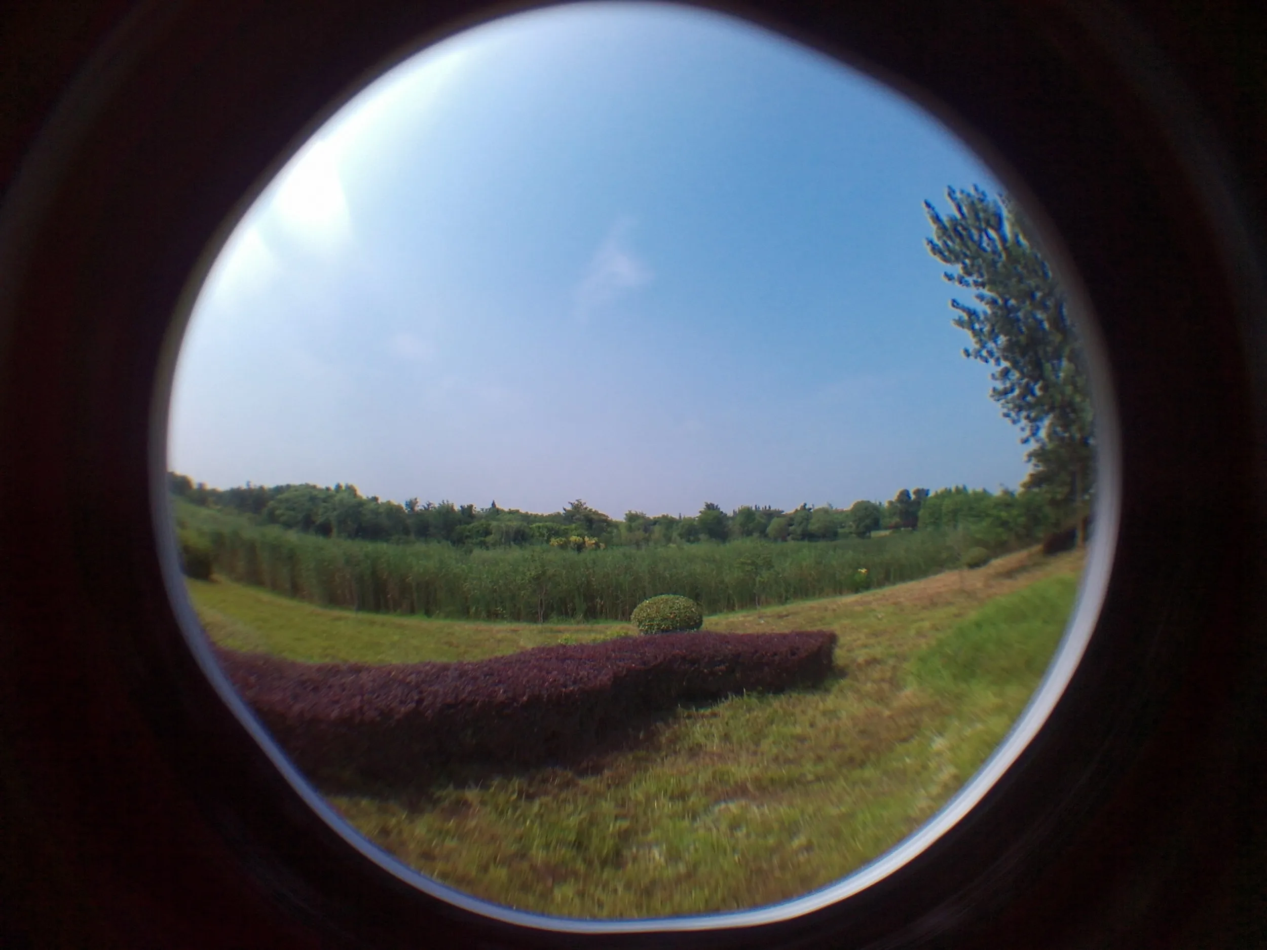 太湖大堤と湿地帯