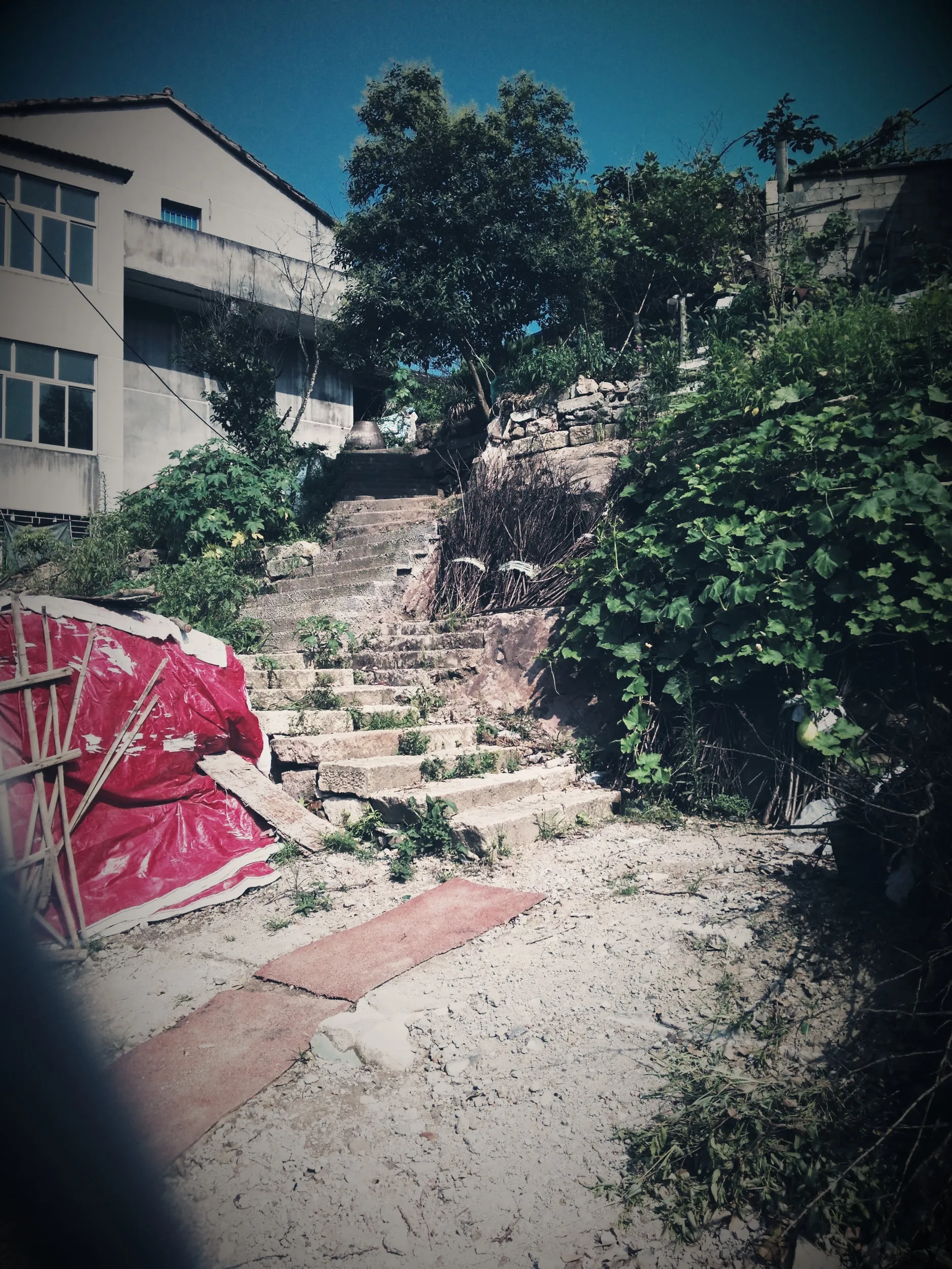 坦五線沿いの風景