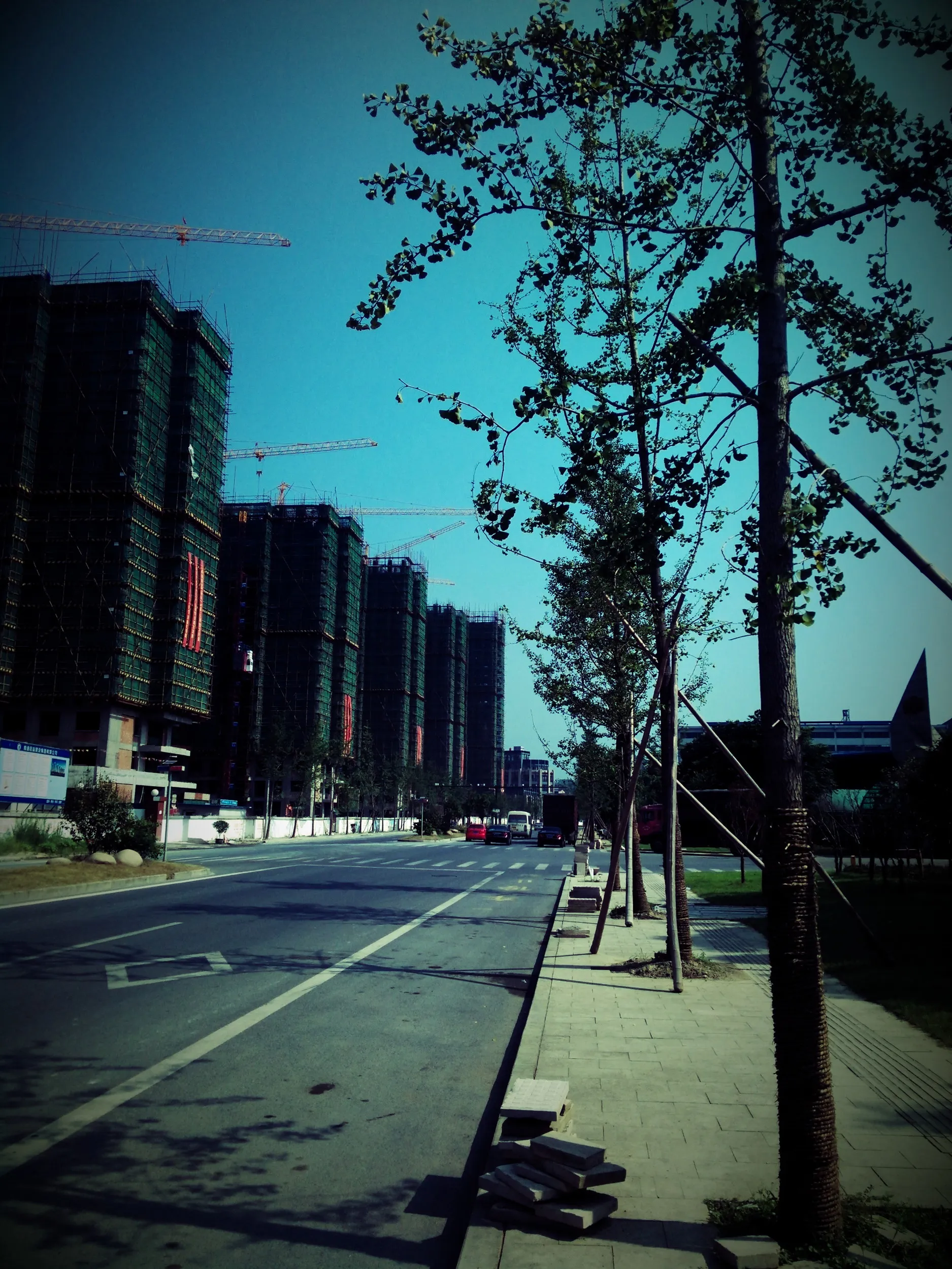 仙都景観区へ続く鼎湖路沿いの風景