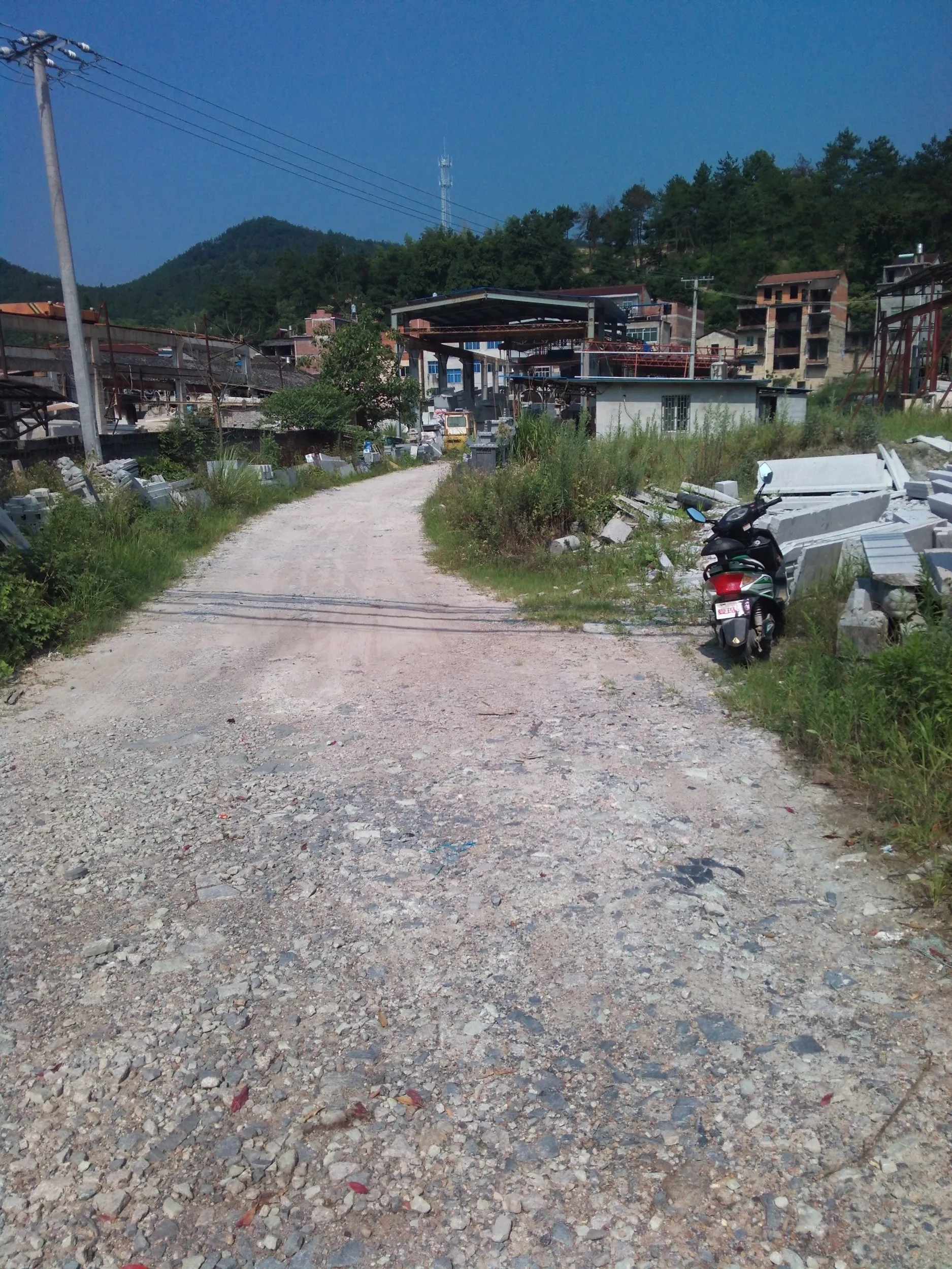 鼎湖路沿いの風景