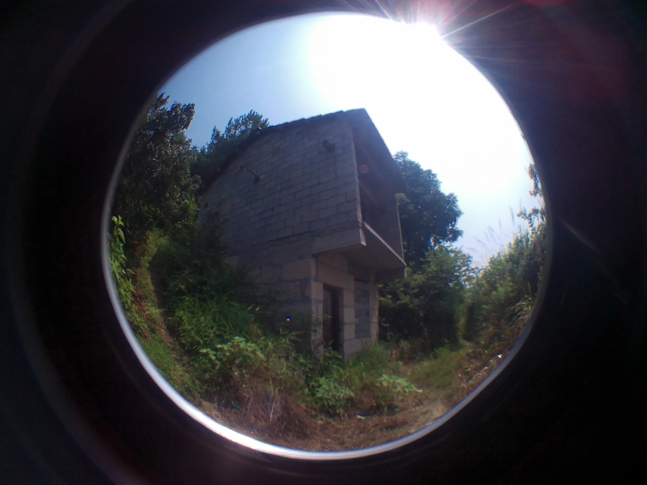 山道周辺の風景