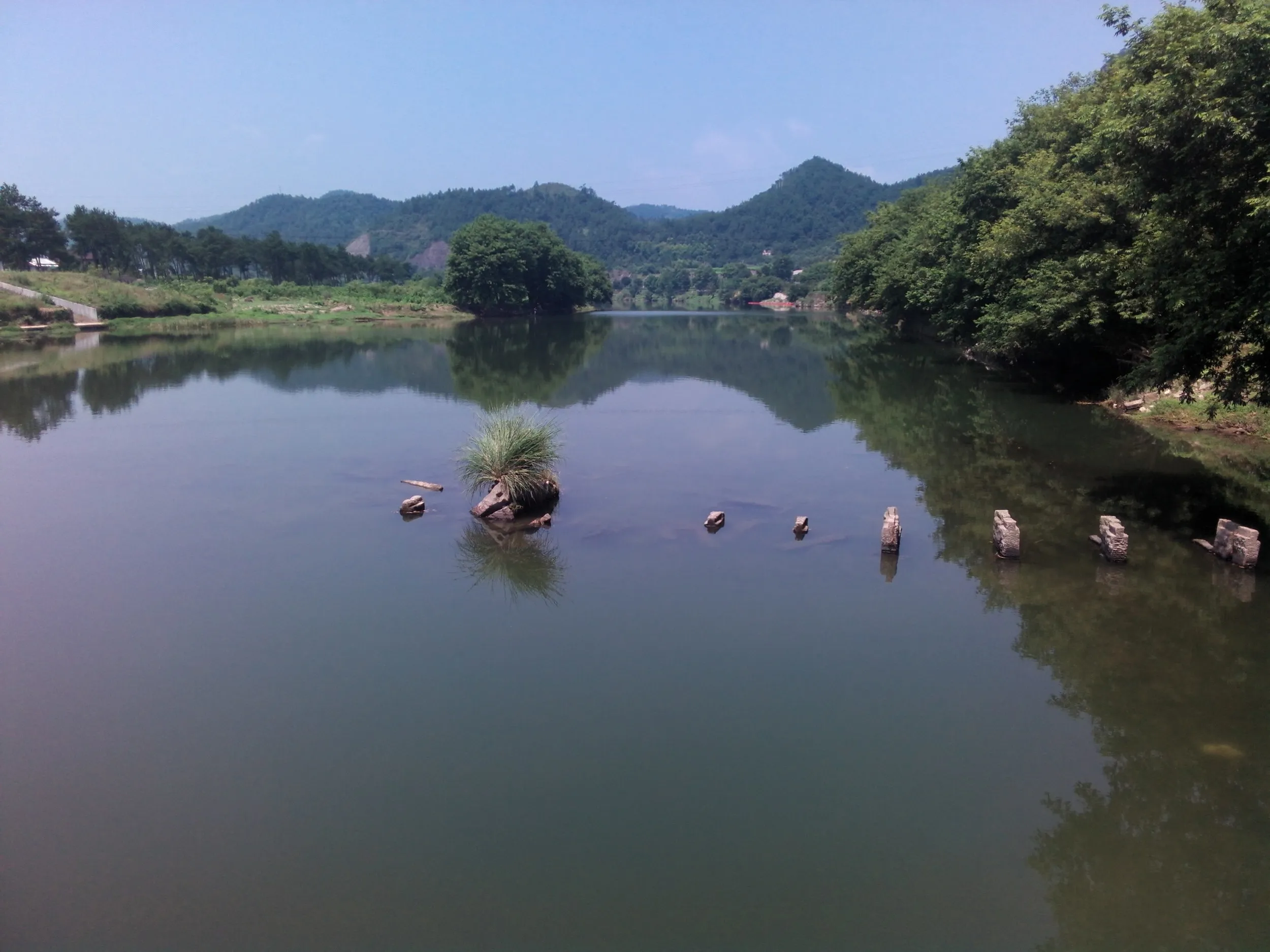 川に古い橋桁が残っていた