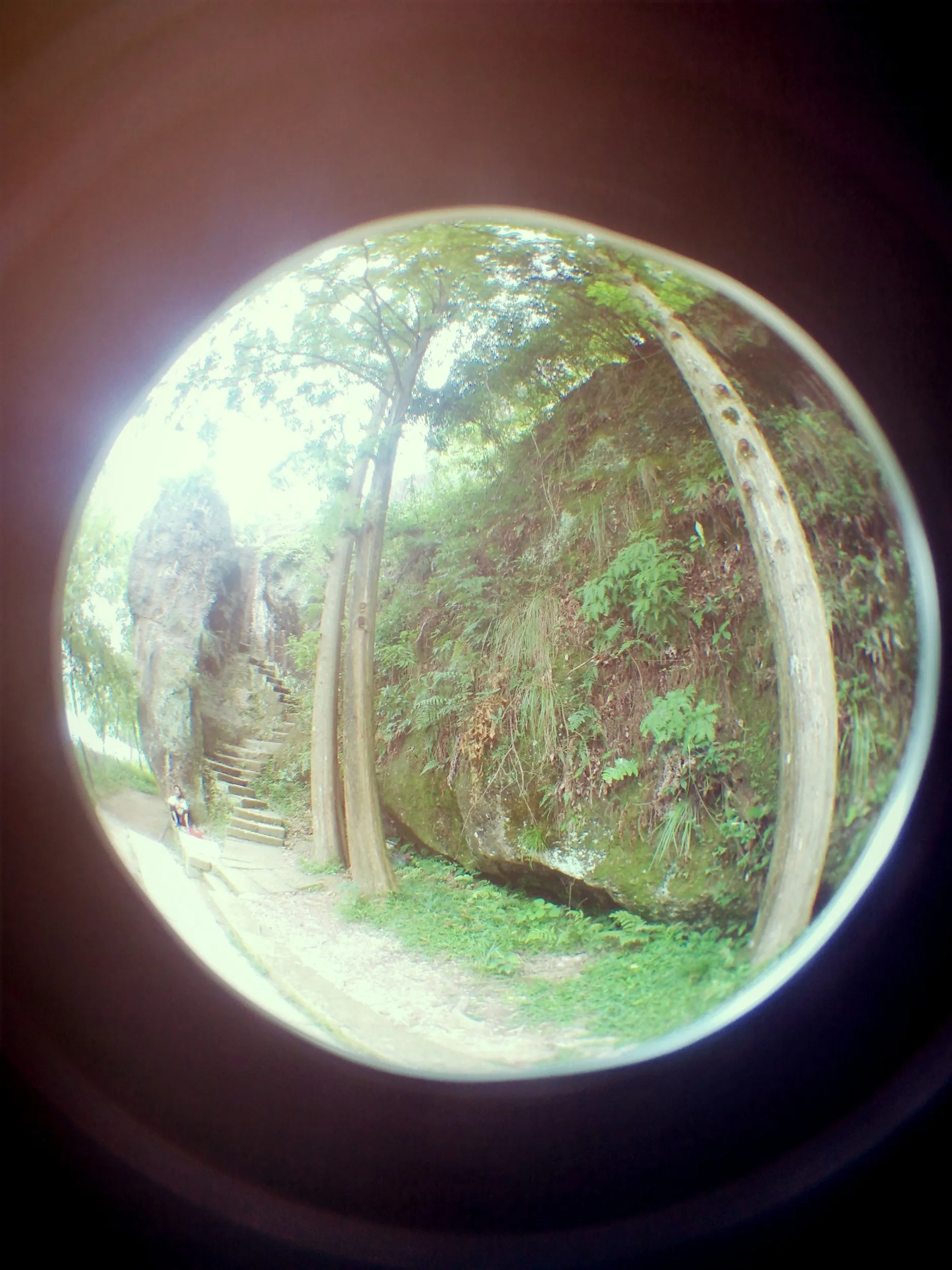 小赤壁の虎迹岩？