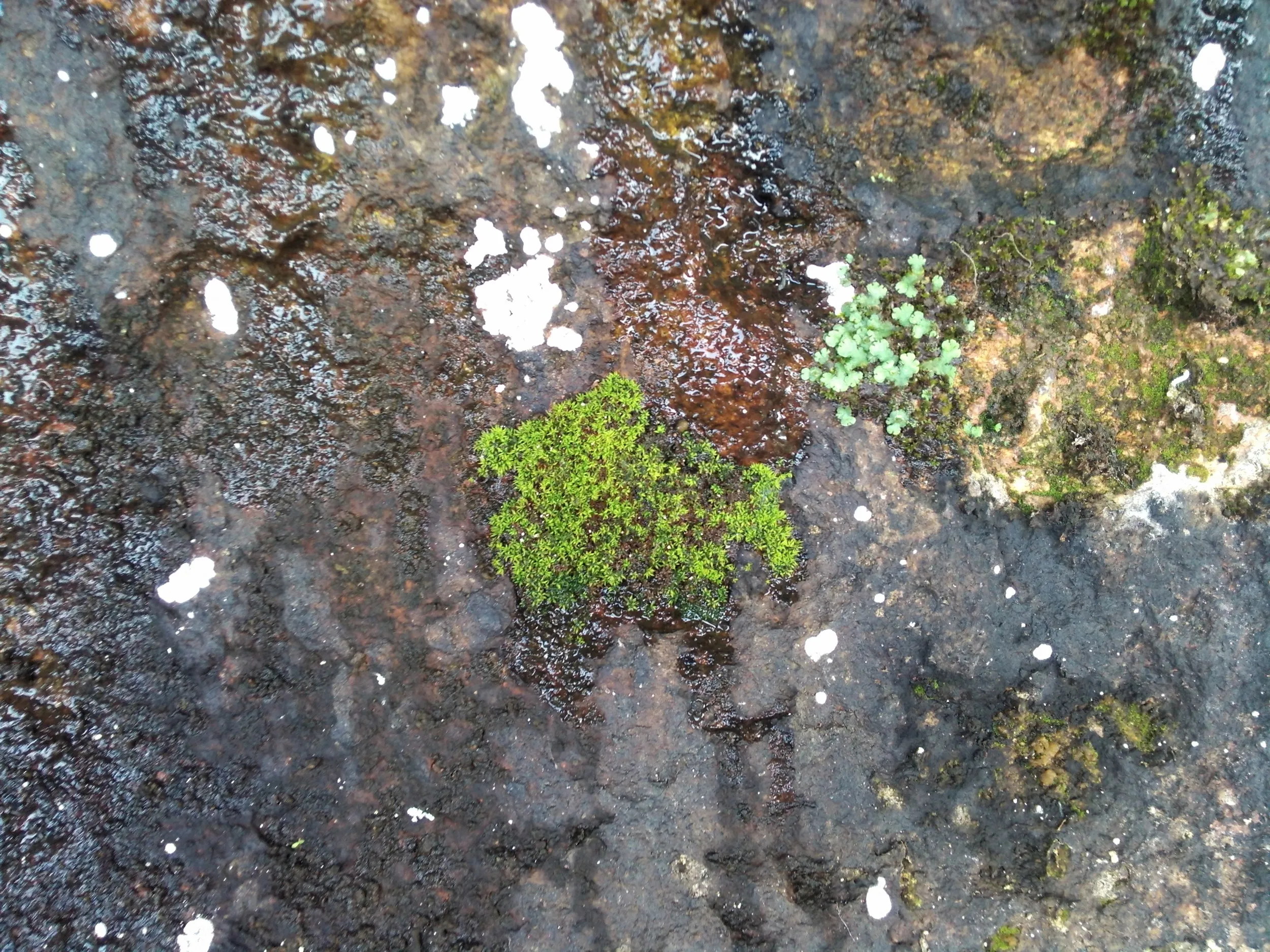 小赤壁の崖の上