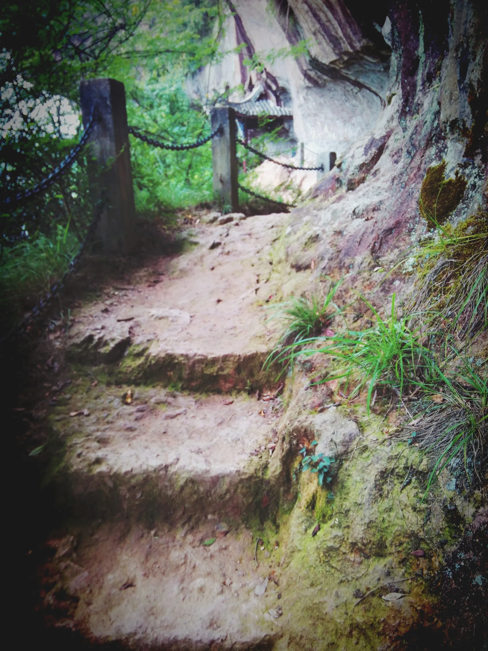 小赤壁の崖の上