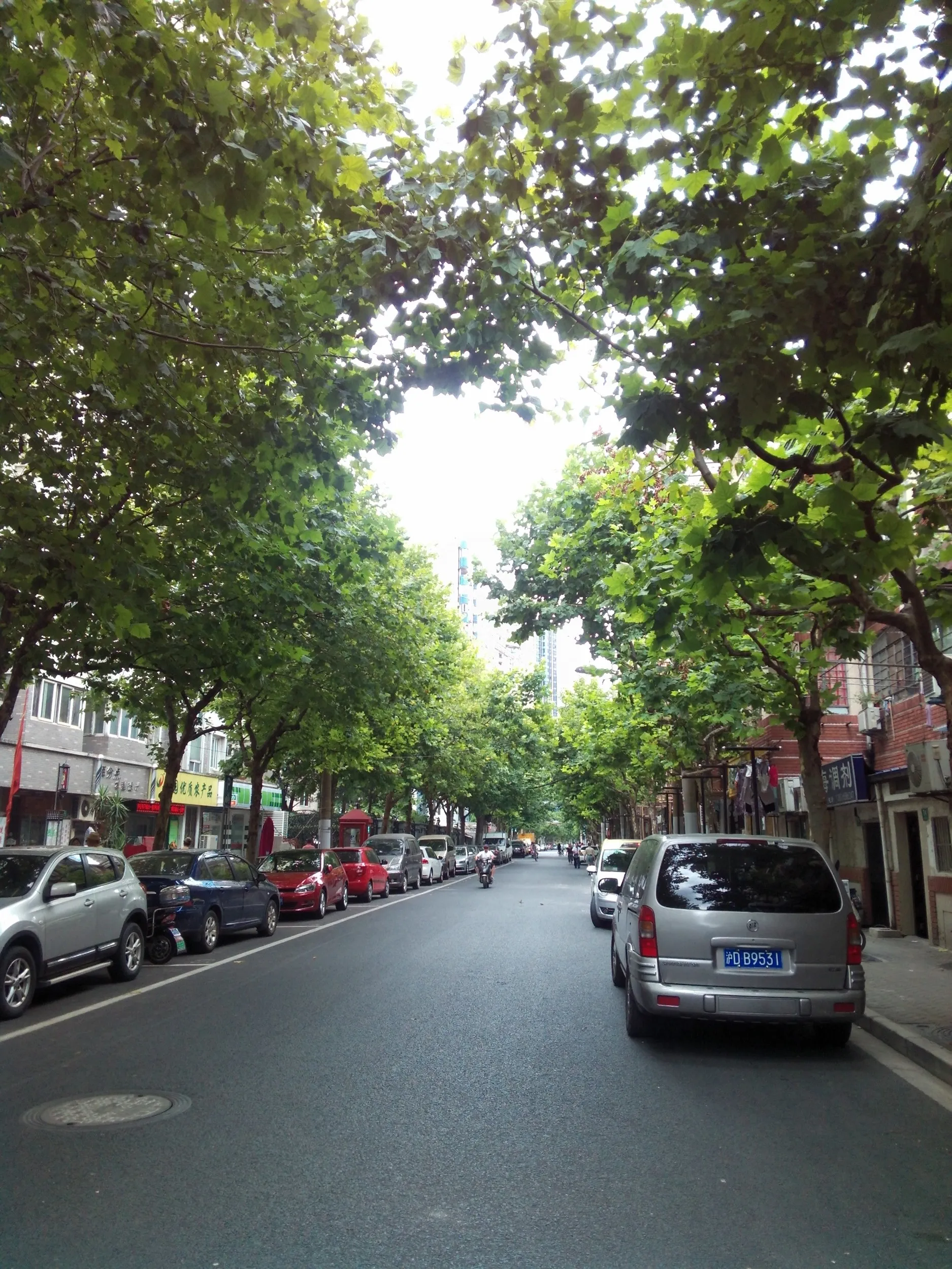 上海の海関（税関）へ向かう