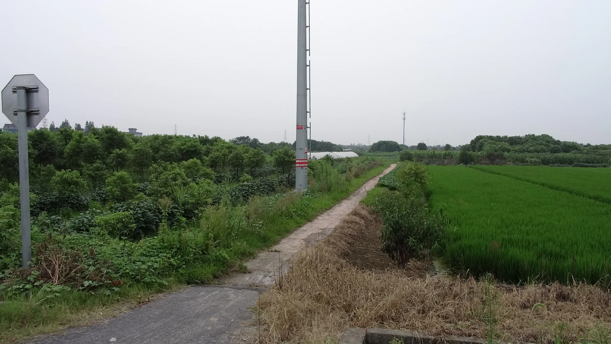 老庄村から徒歩で海寧西駅へ向かう