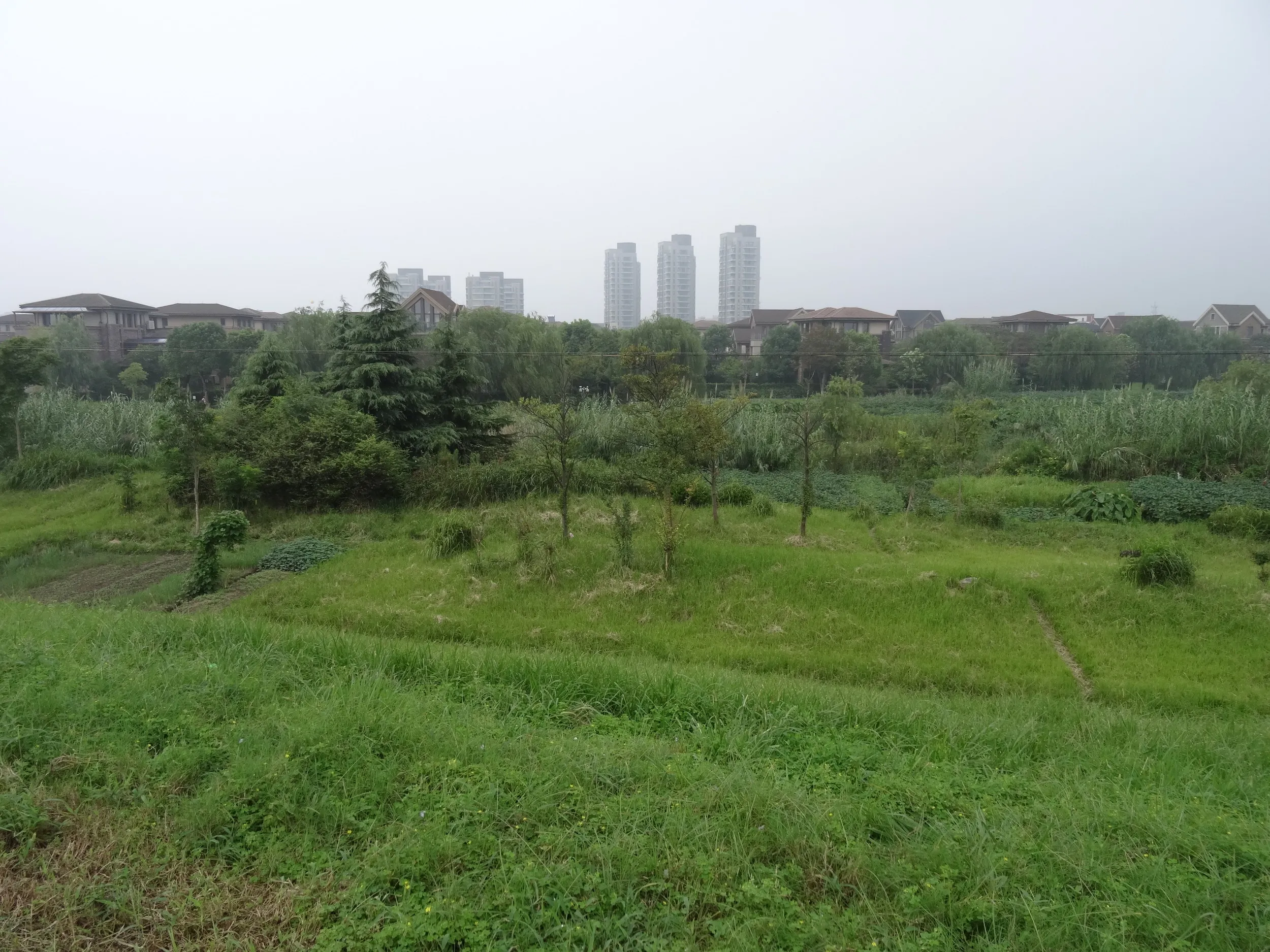 堤防付近の風景