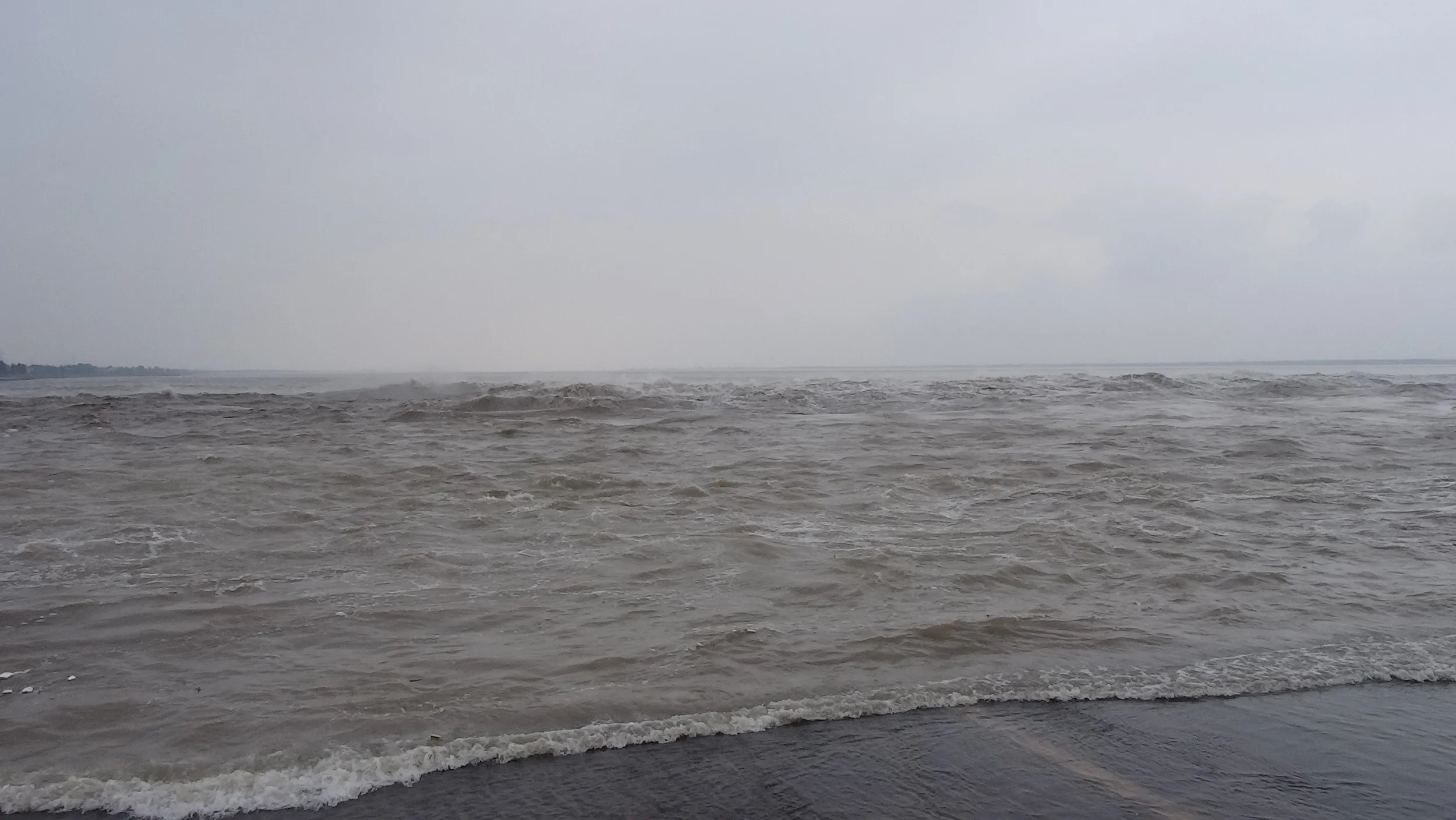 銭塘江の大潮・逆流を見る