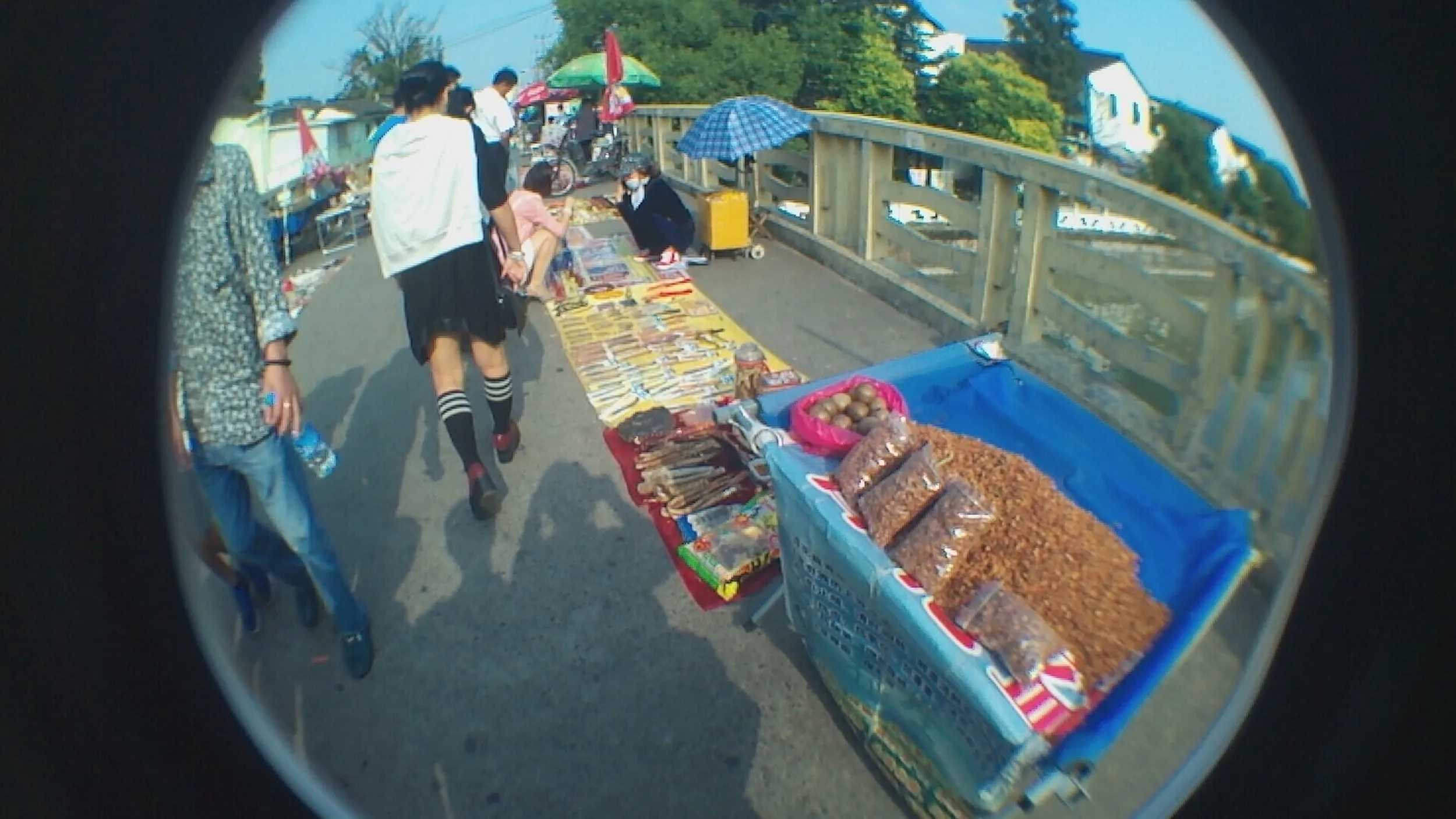 橋から運河を眺める