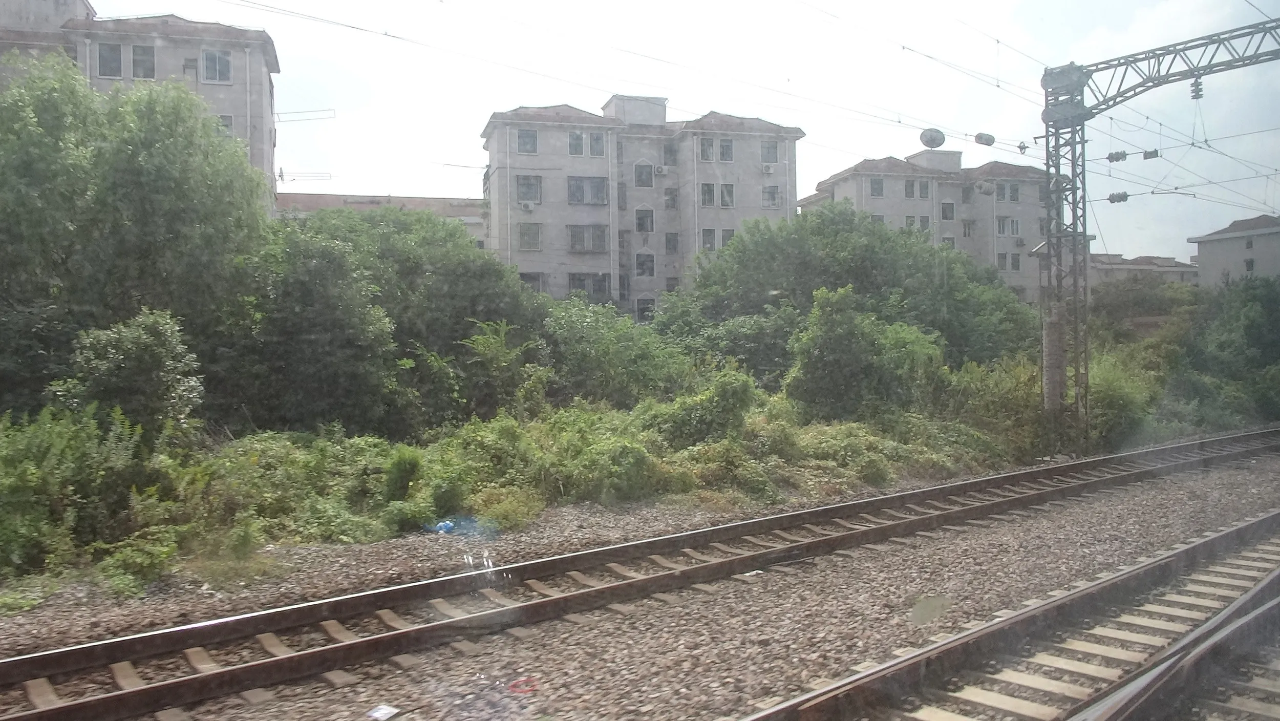 上海南駅から杭州まで乗り鉄
