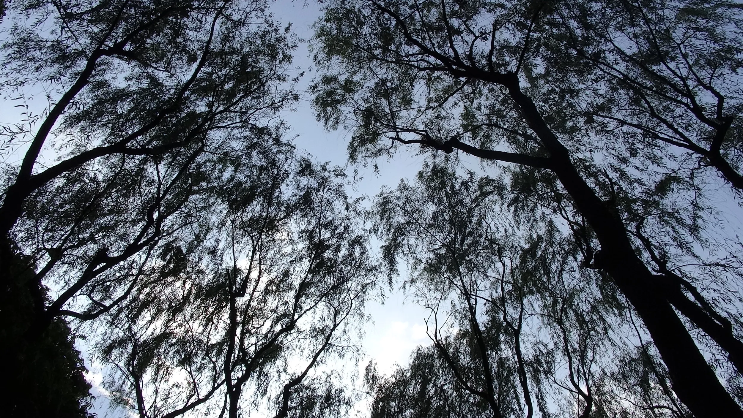 柳浪聞蔦の風景
