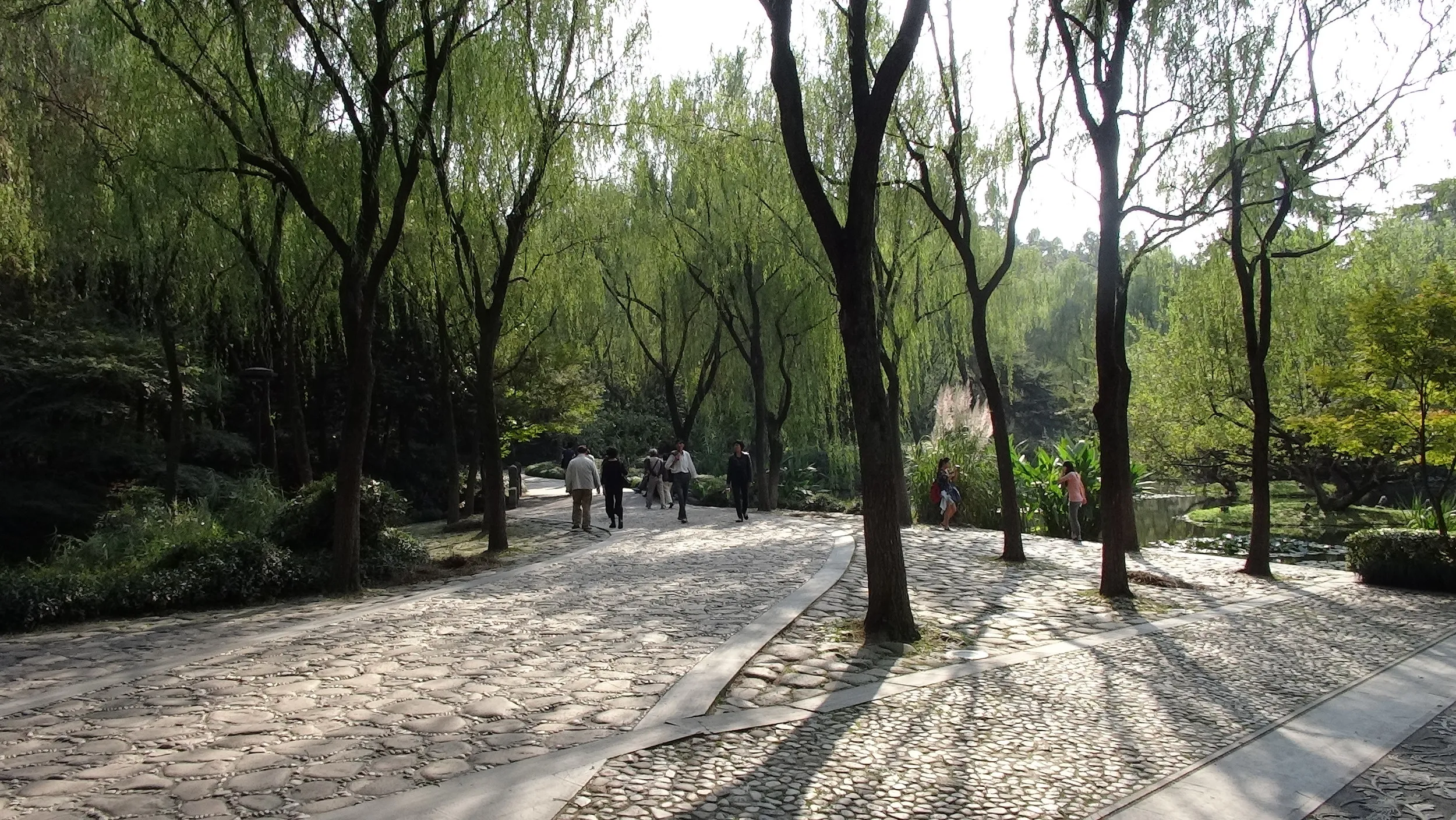 柳浪聞蔦の風景
