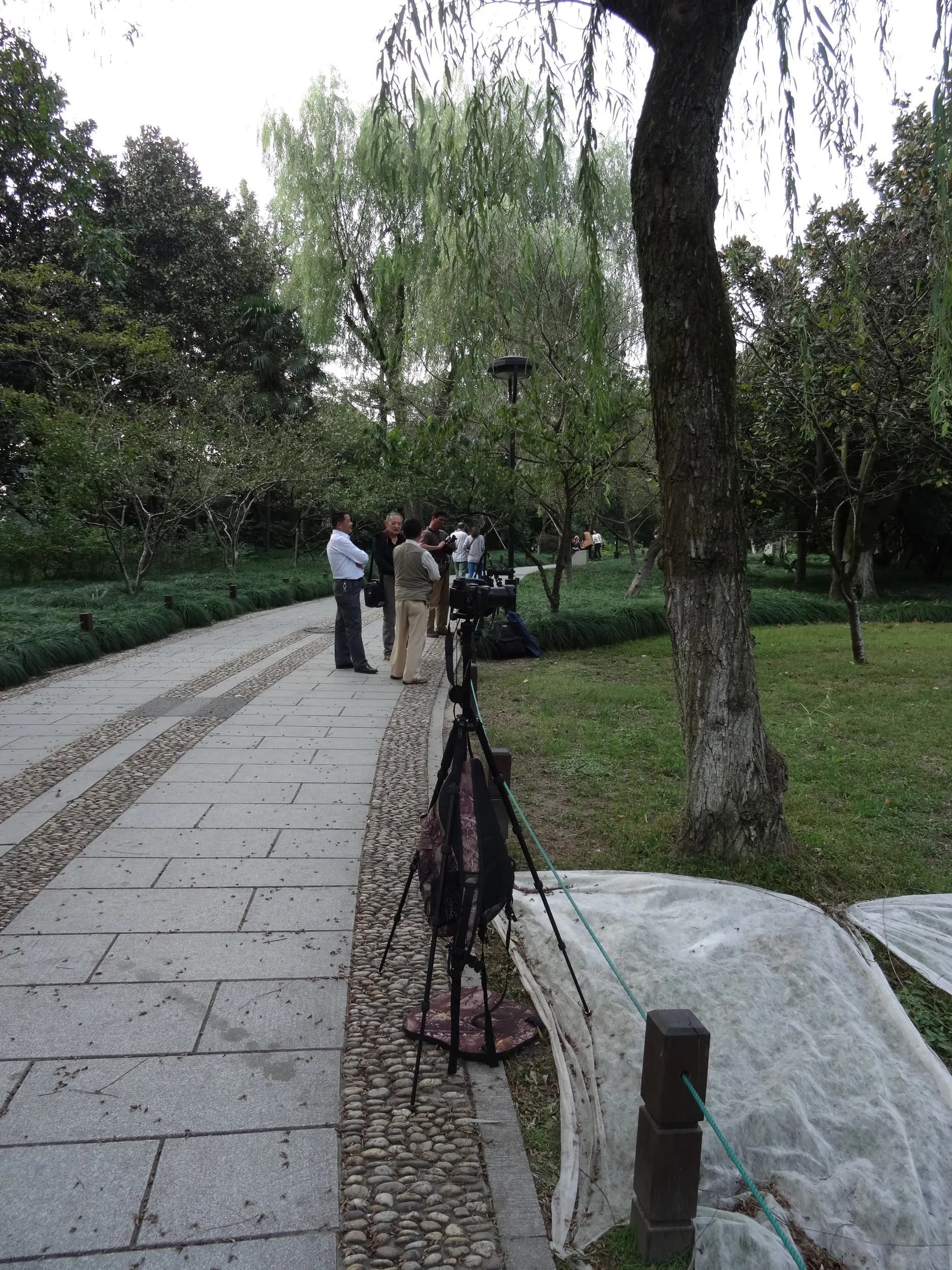 柳浪聞蔦の風景