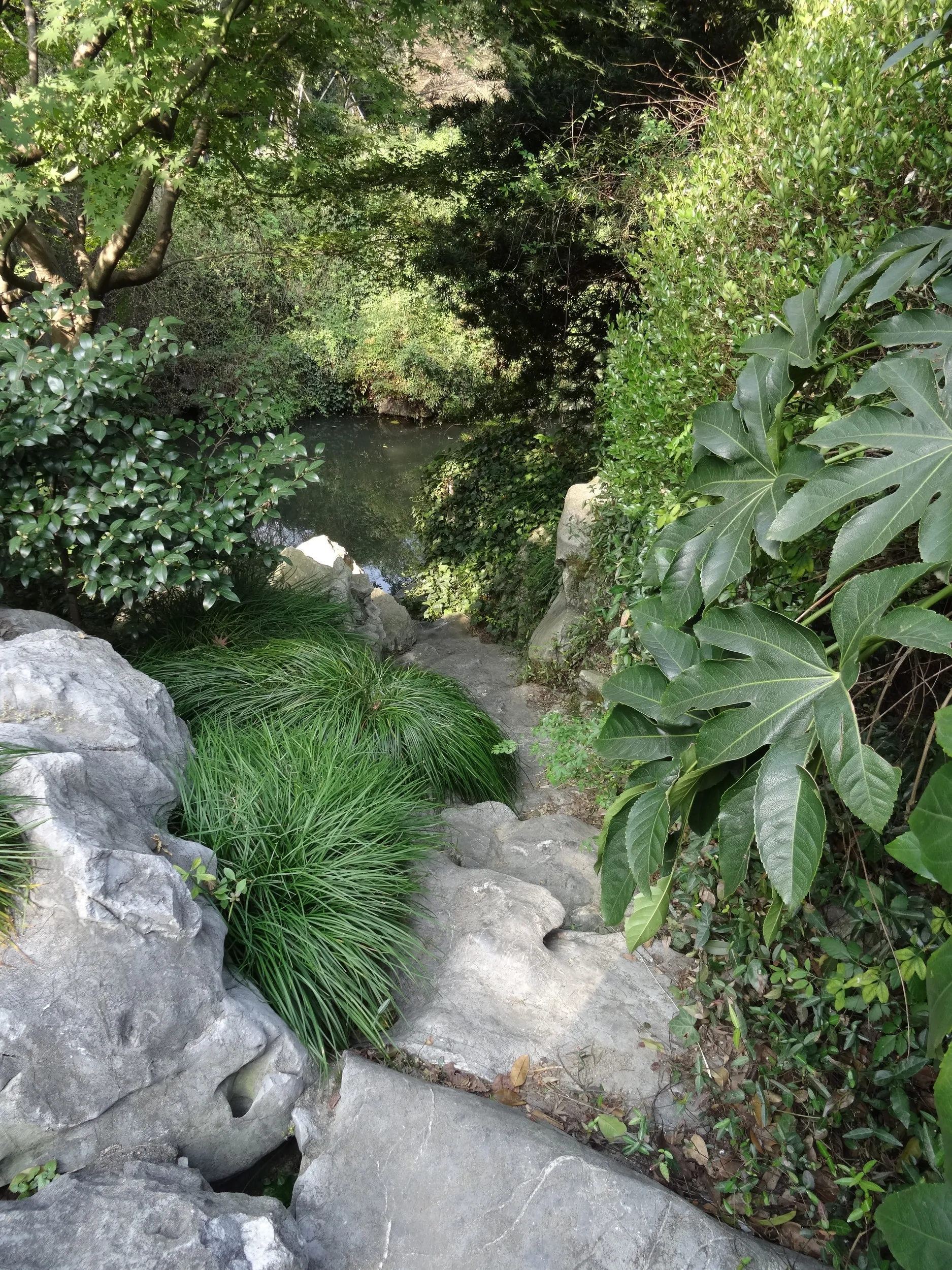 柳浪聞蔦の風景