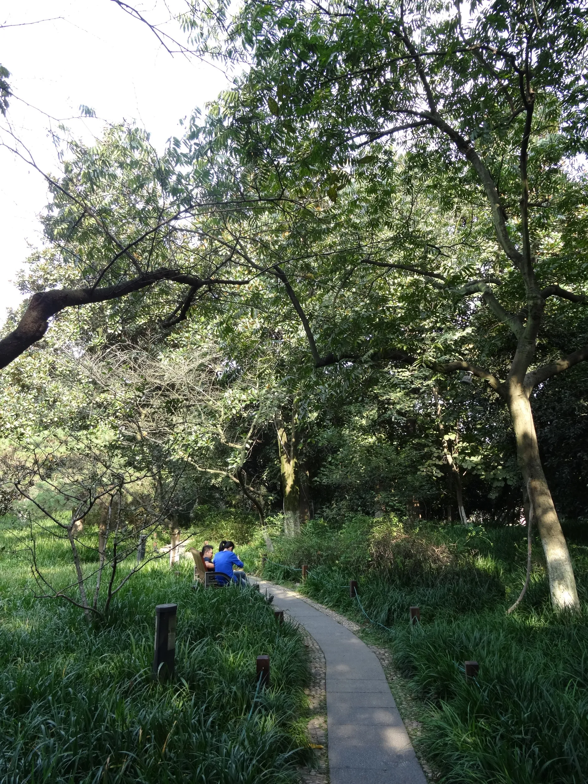 柳浪聞蔦の風景