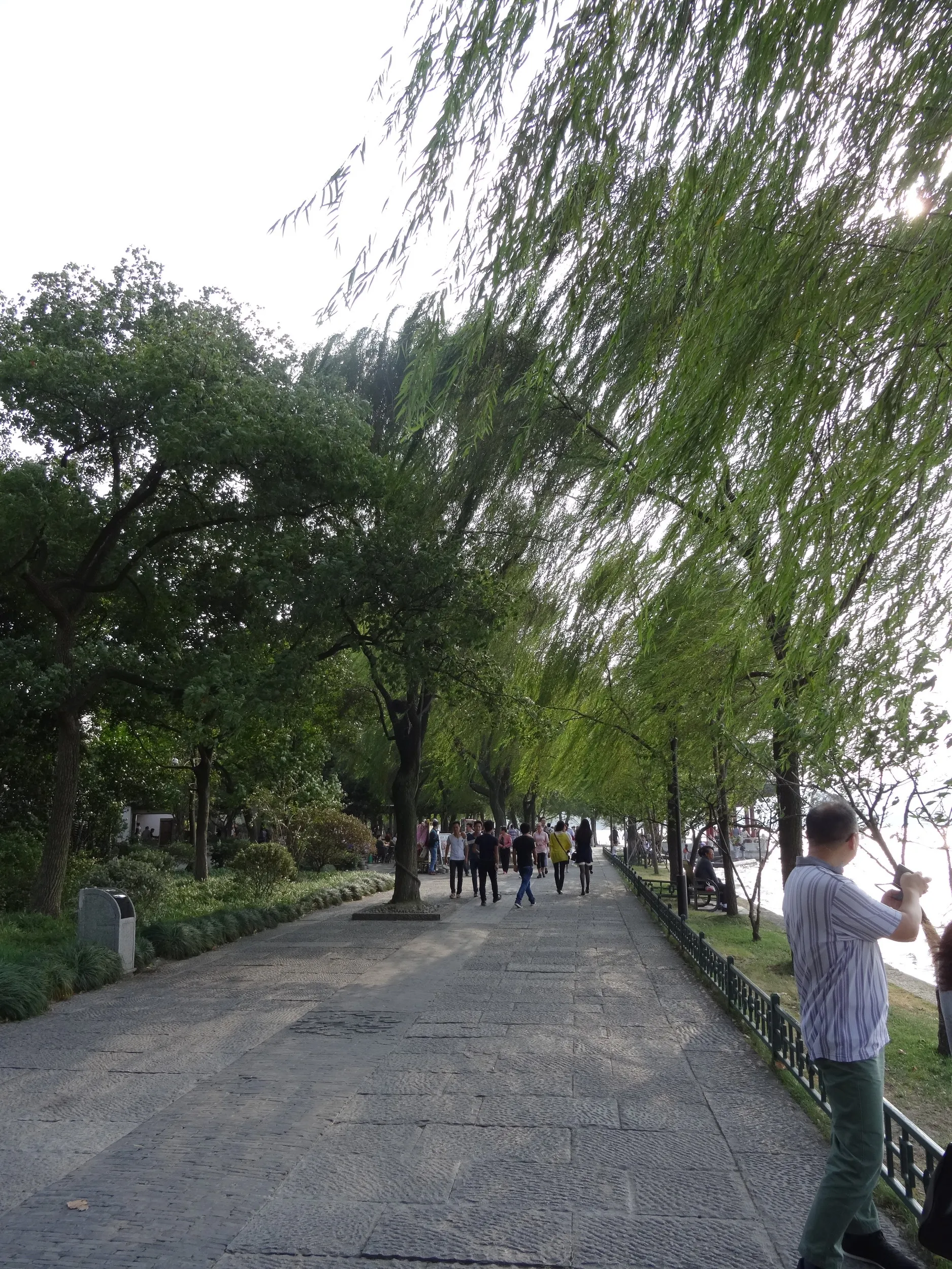 西湖の畔を散歩