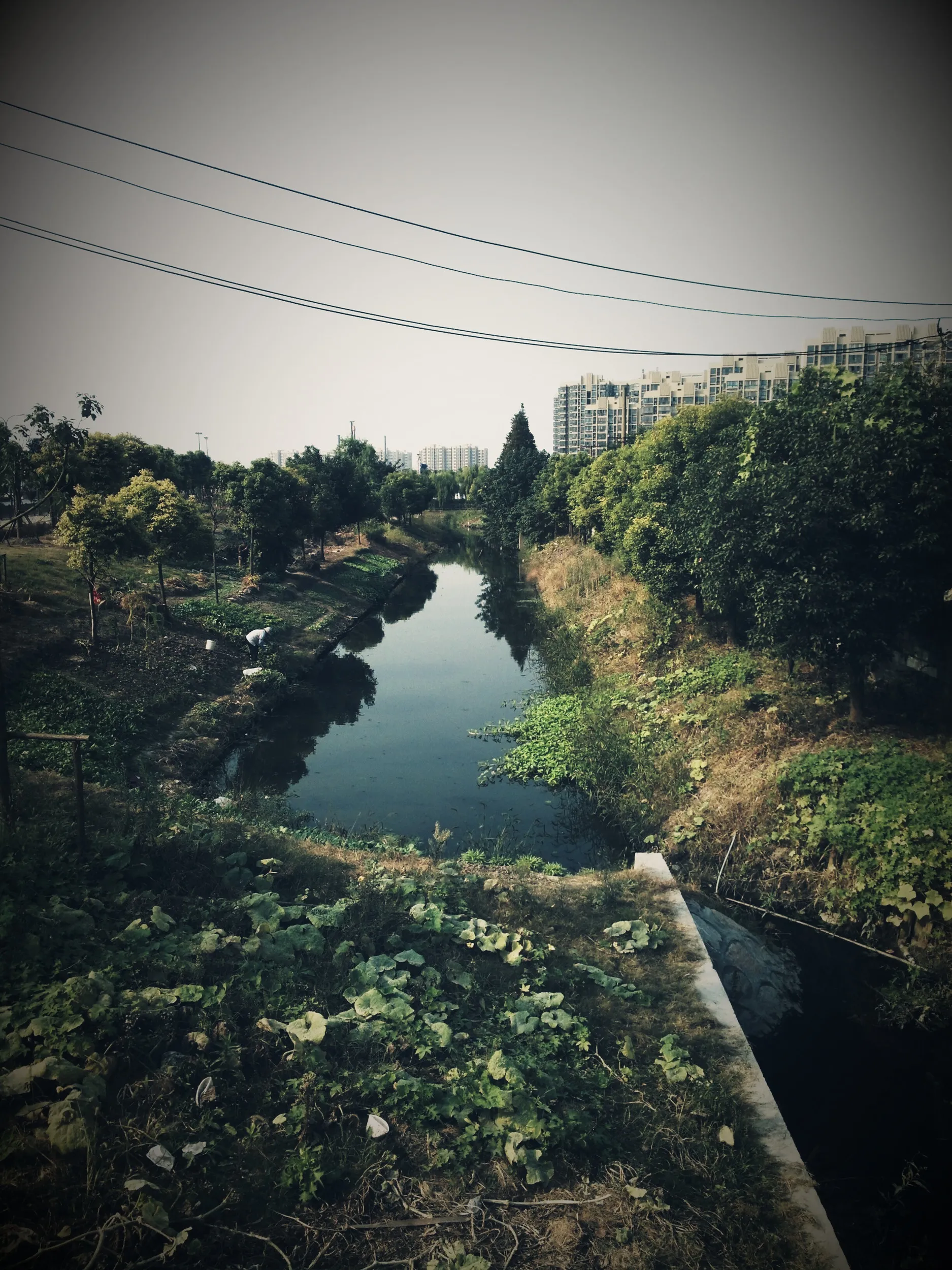 528路線バスの終点