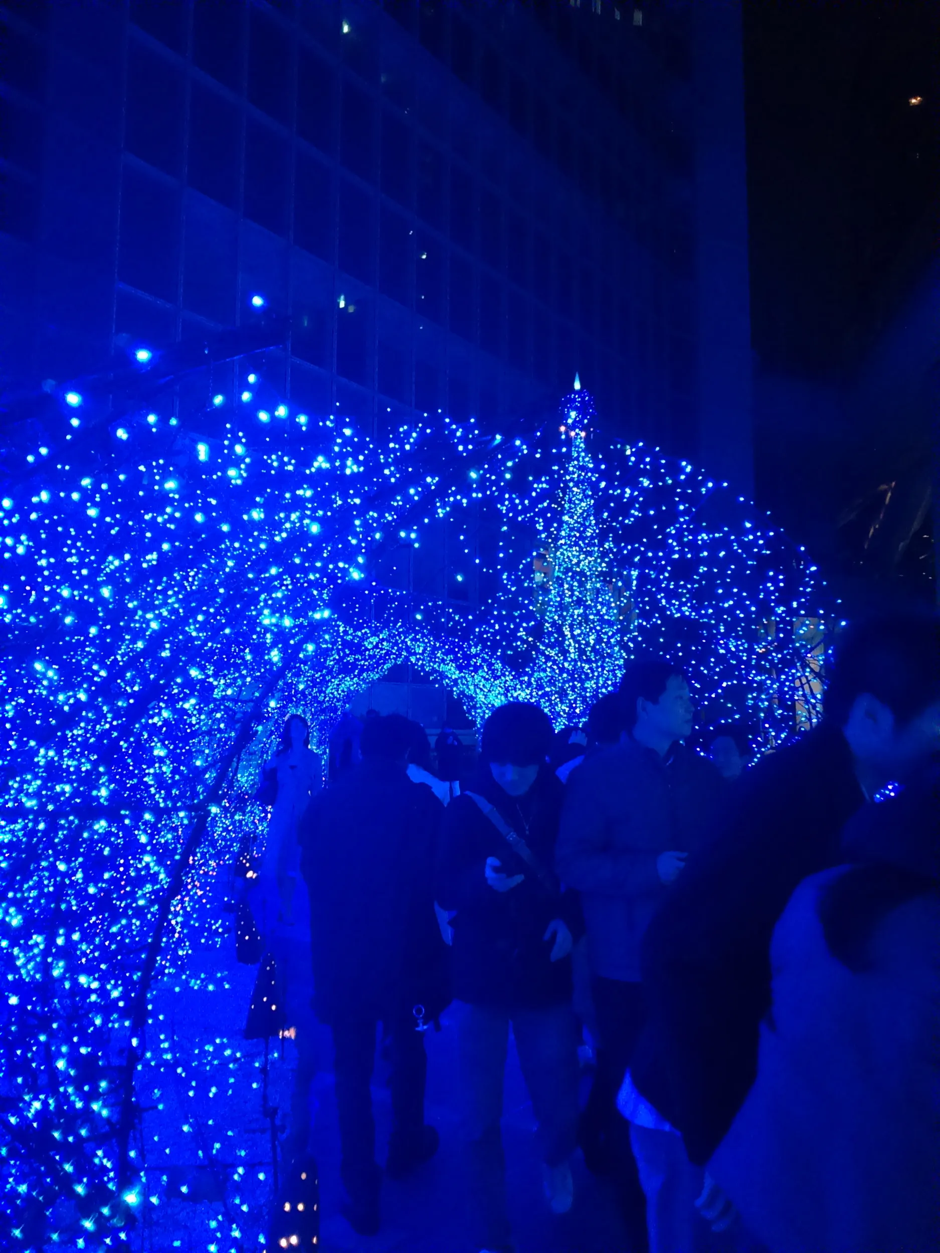 イルミネーション