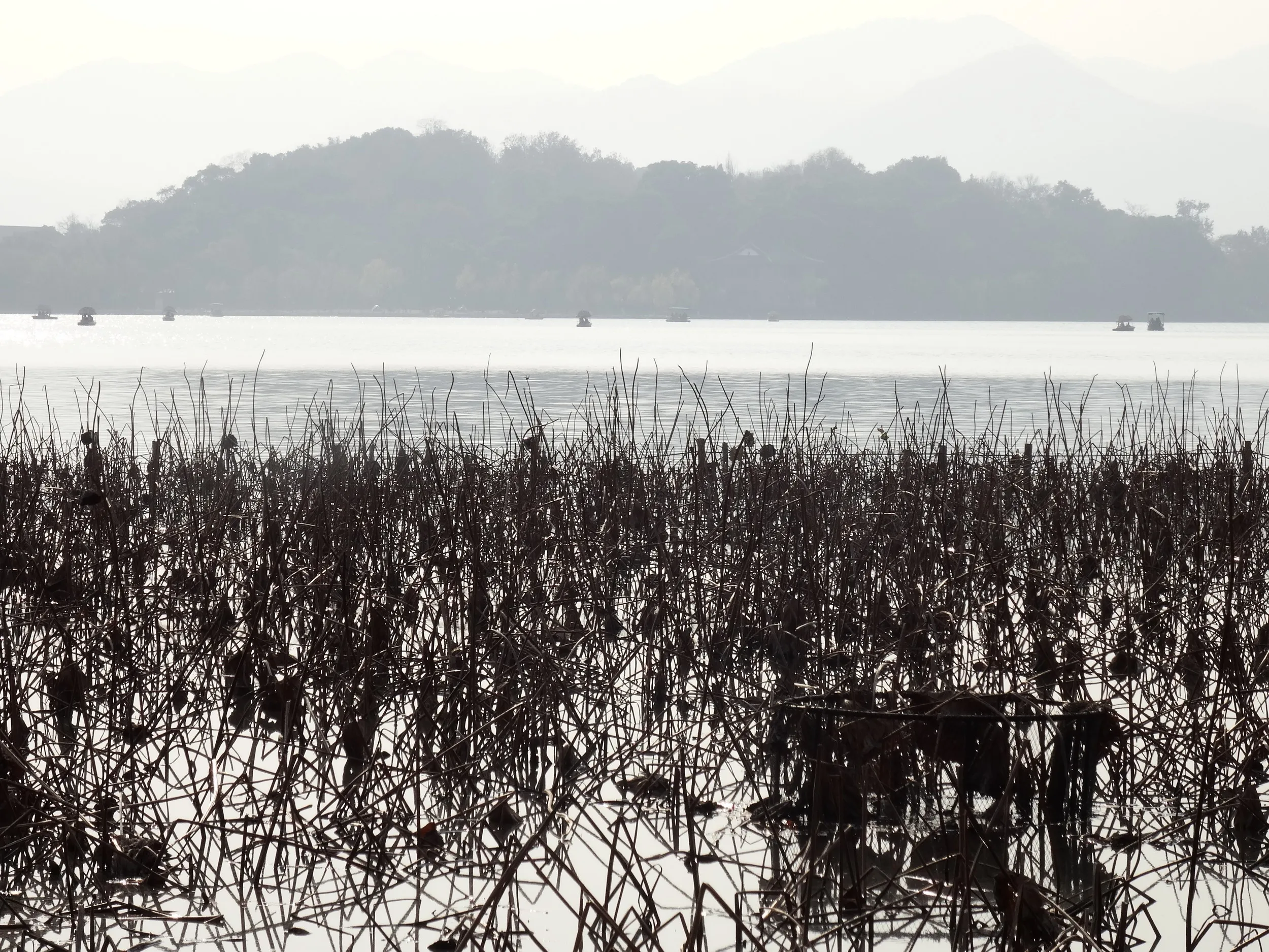 西湖の風景