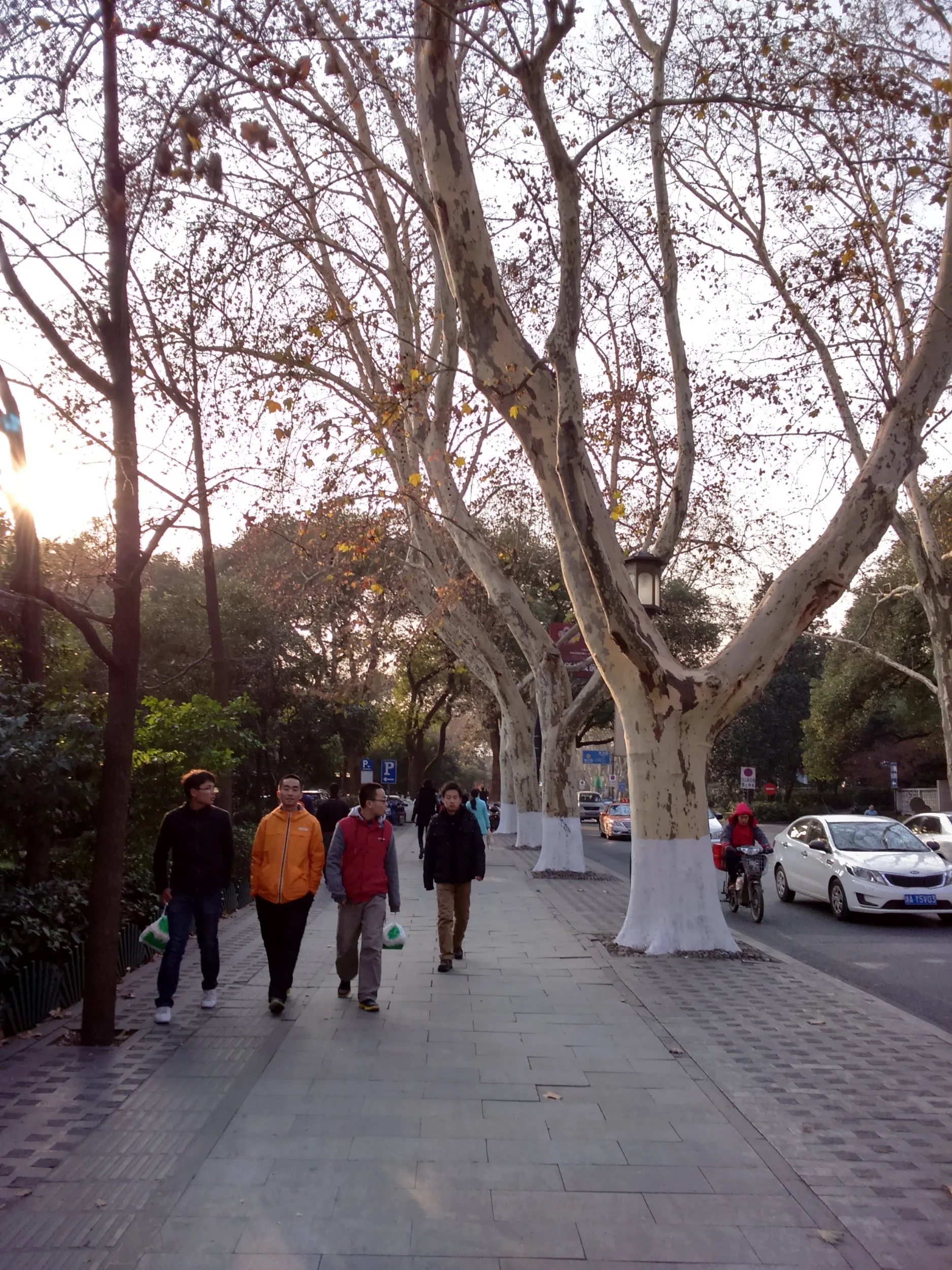 西湖から霊隠景観区まで散歩