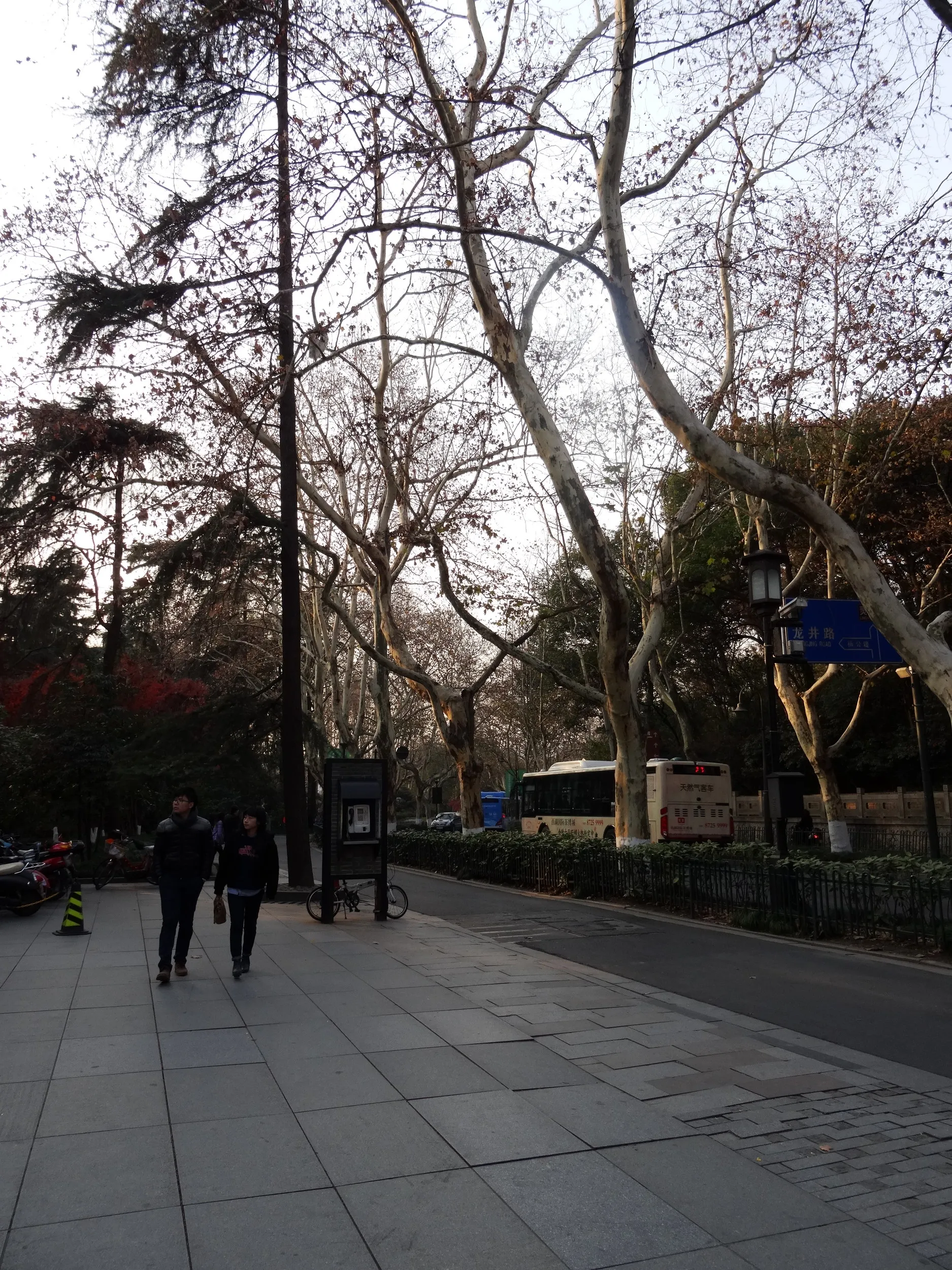 西湖から霊隠景観区まで散歩