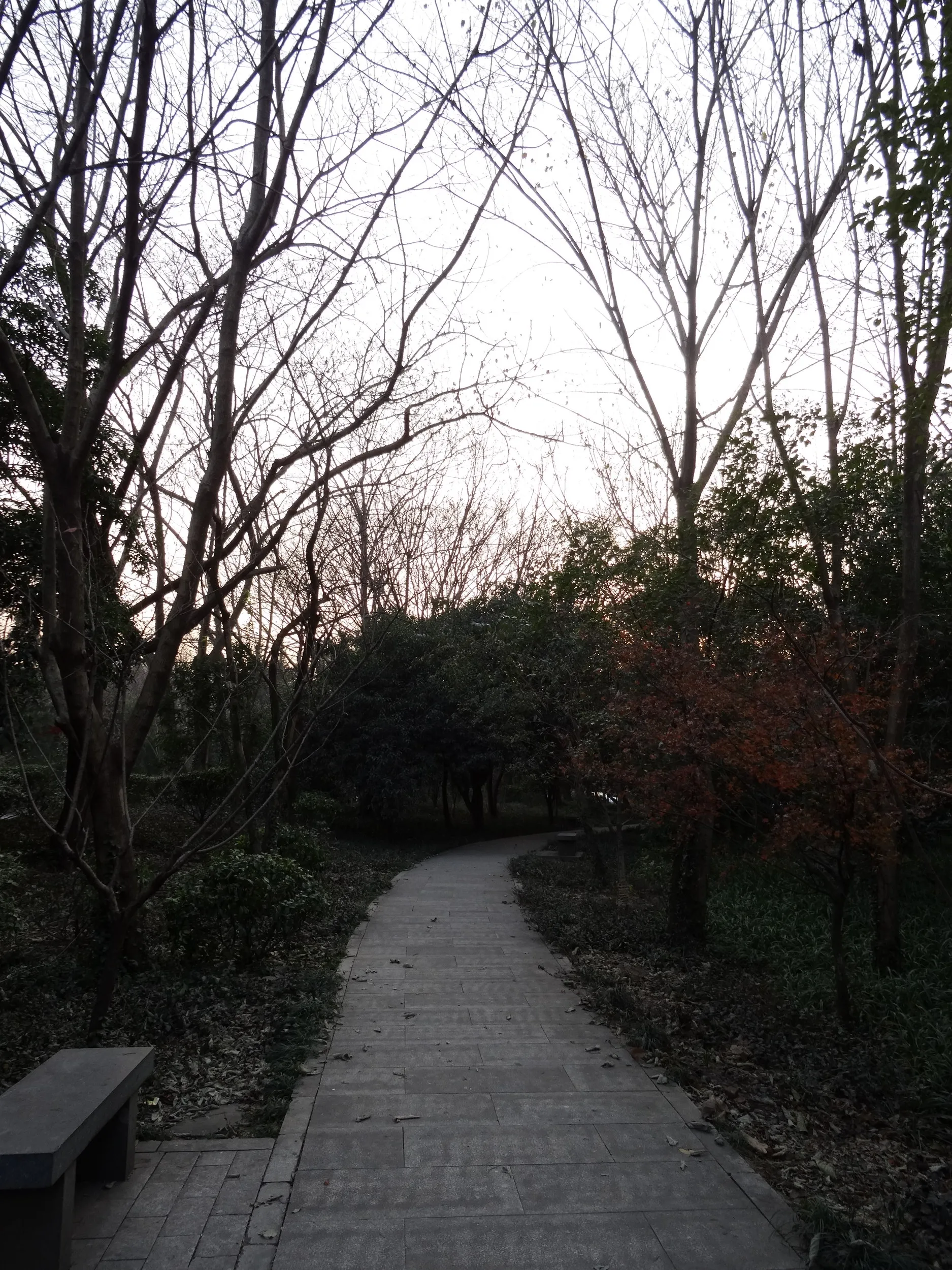 霊隠景観区周辺の風景