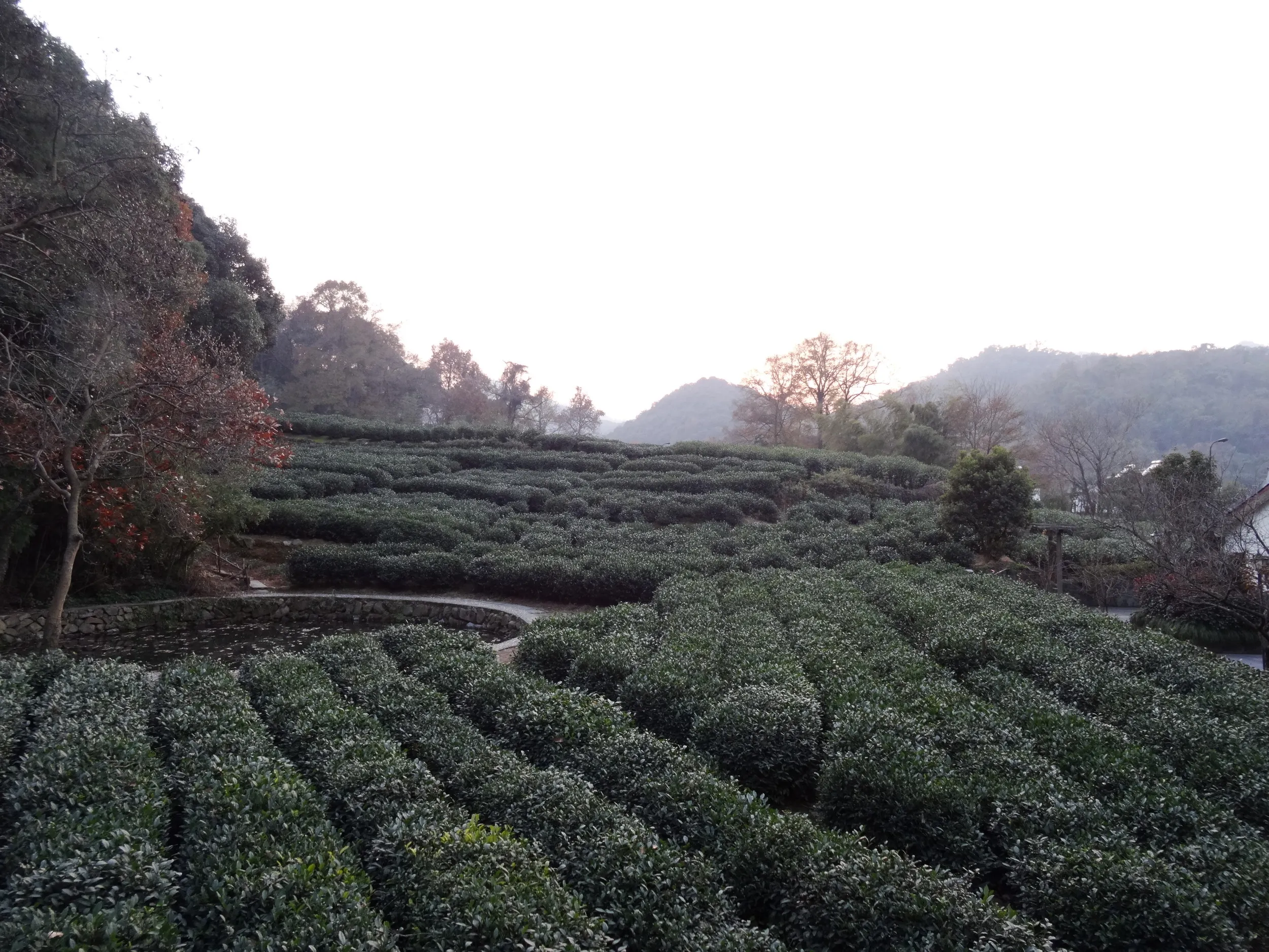 霊隠景観区周辺の風景