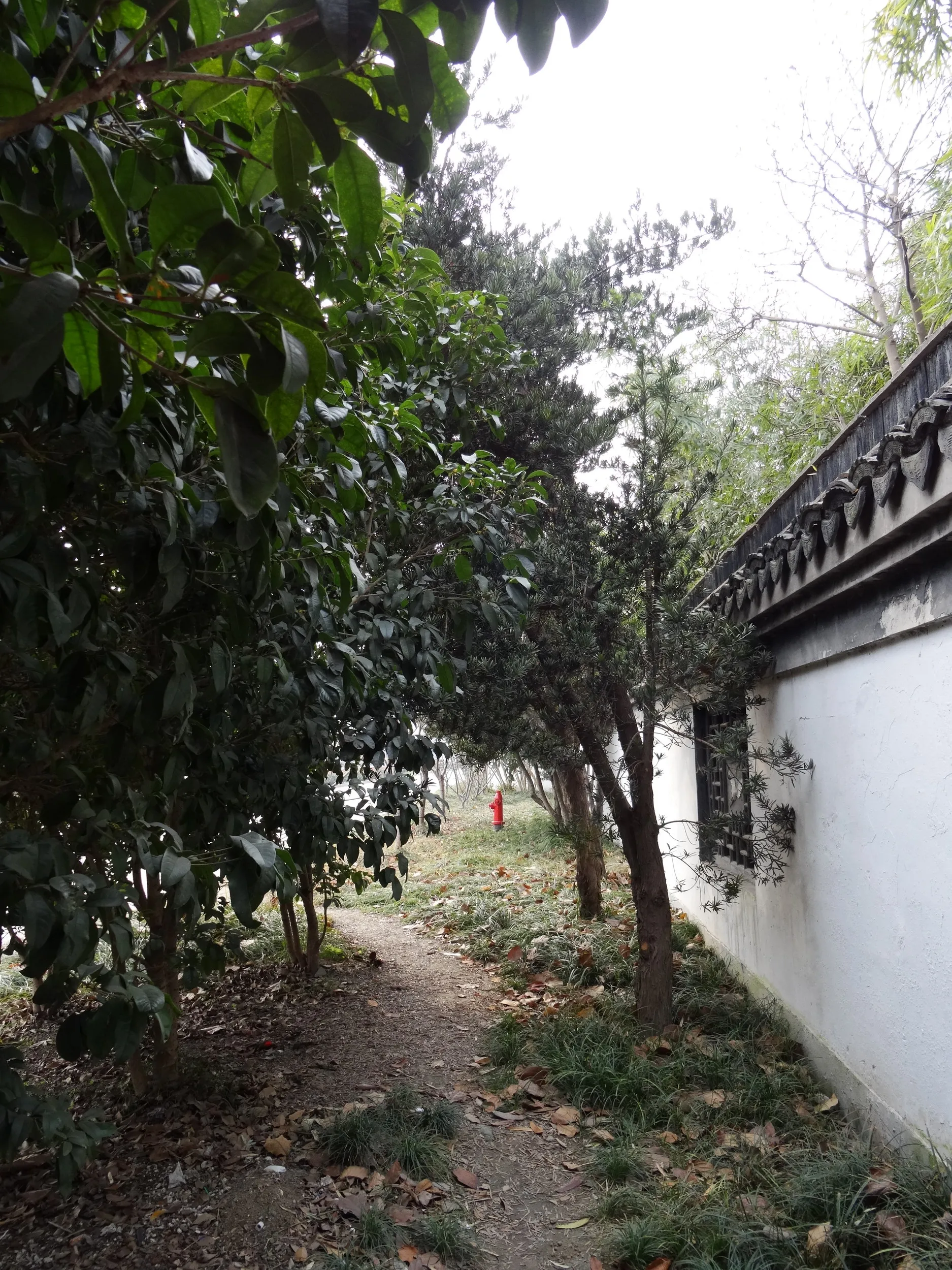 南翔老街までの道のり