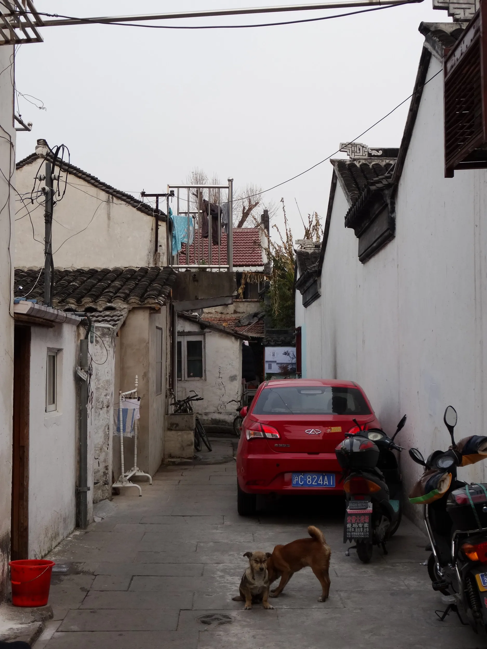 南翔老街、歩行者天国を観光