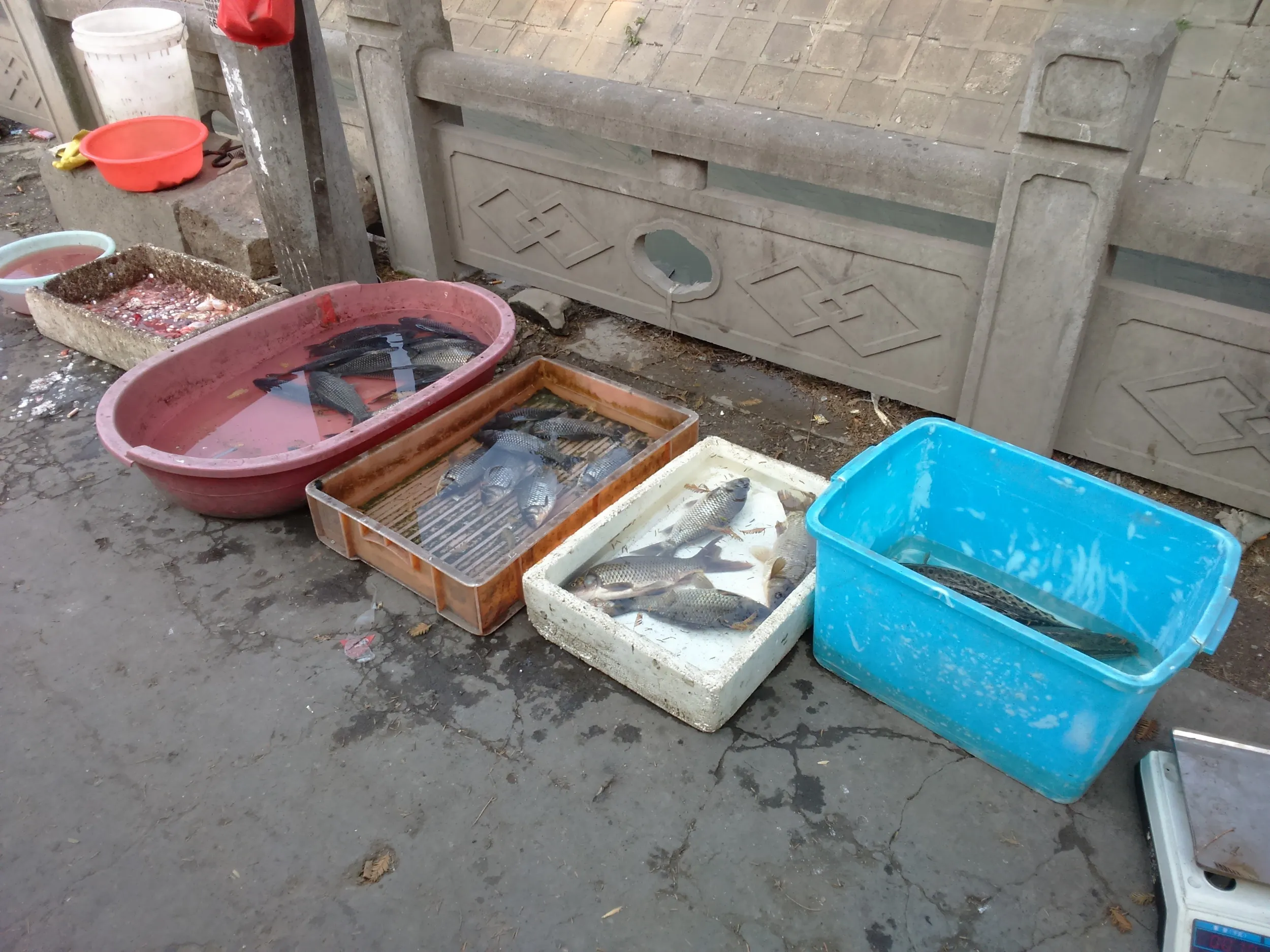 アンダーグラウンドな一角