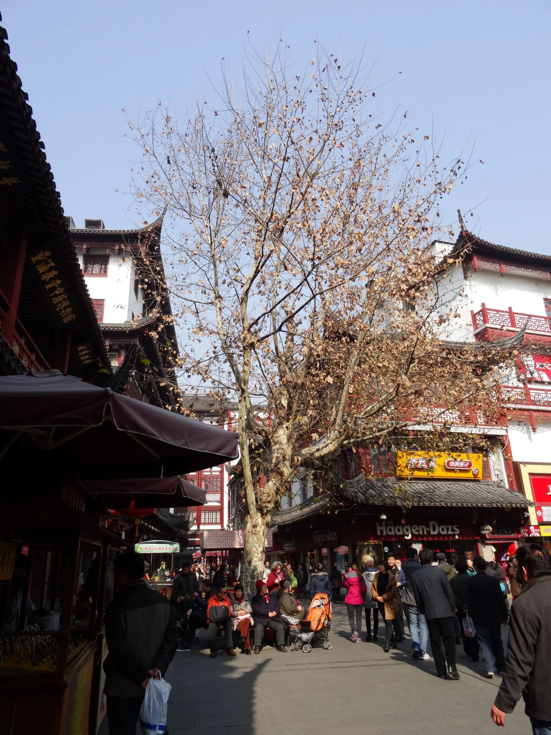 豫園付近の観光