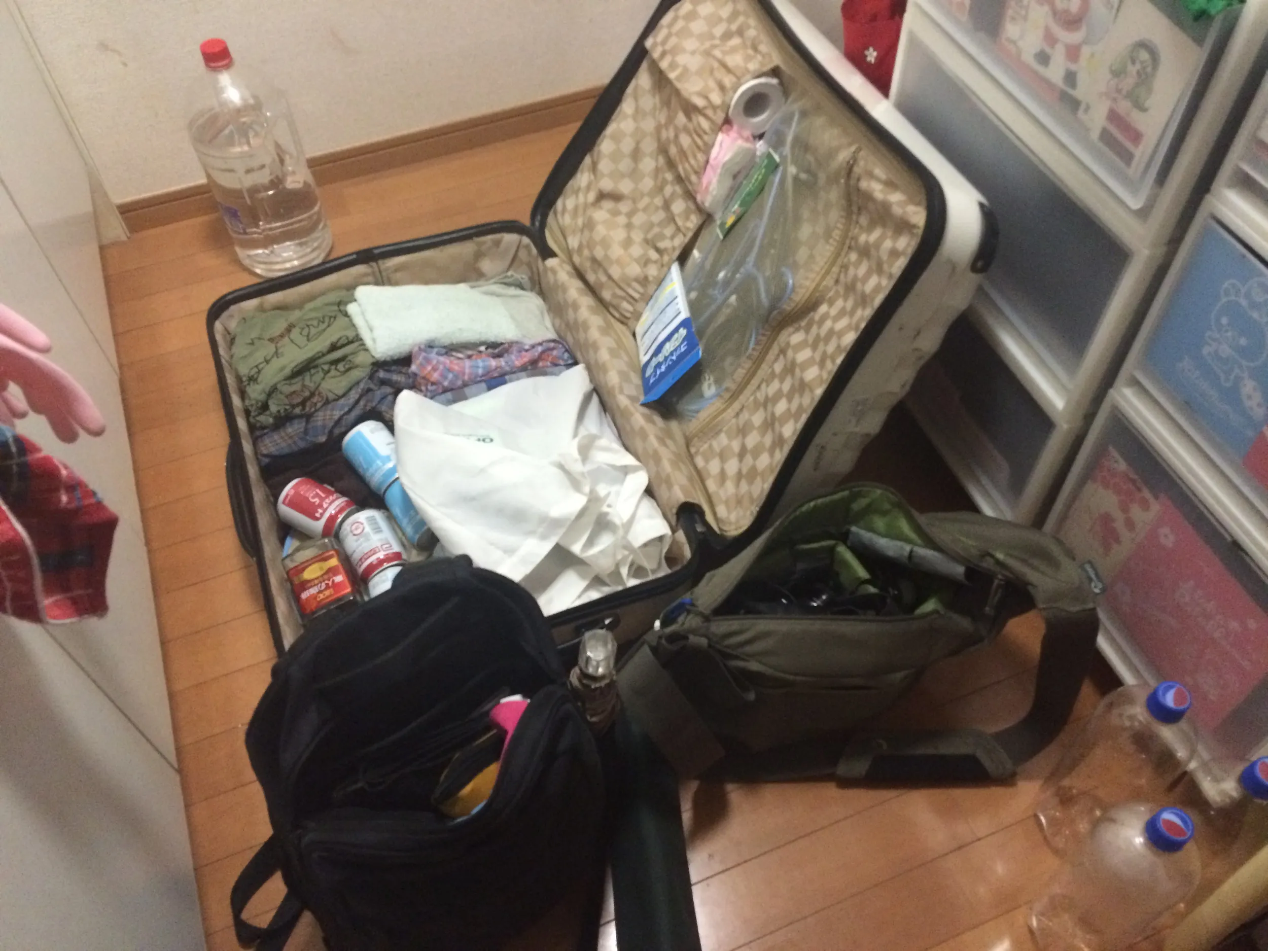 郵送で取得した中国の観光ビザ