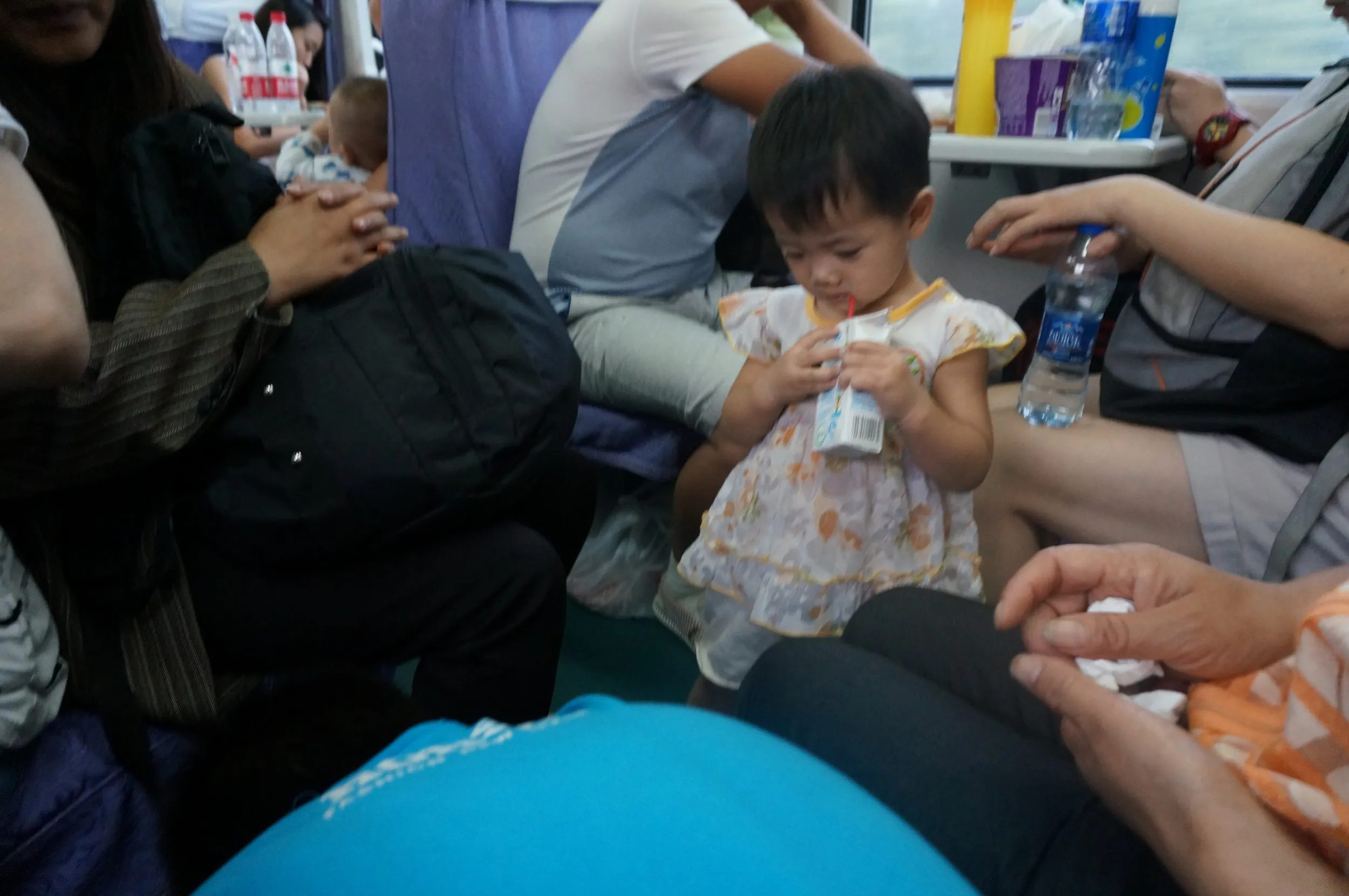 子供が撮った写真