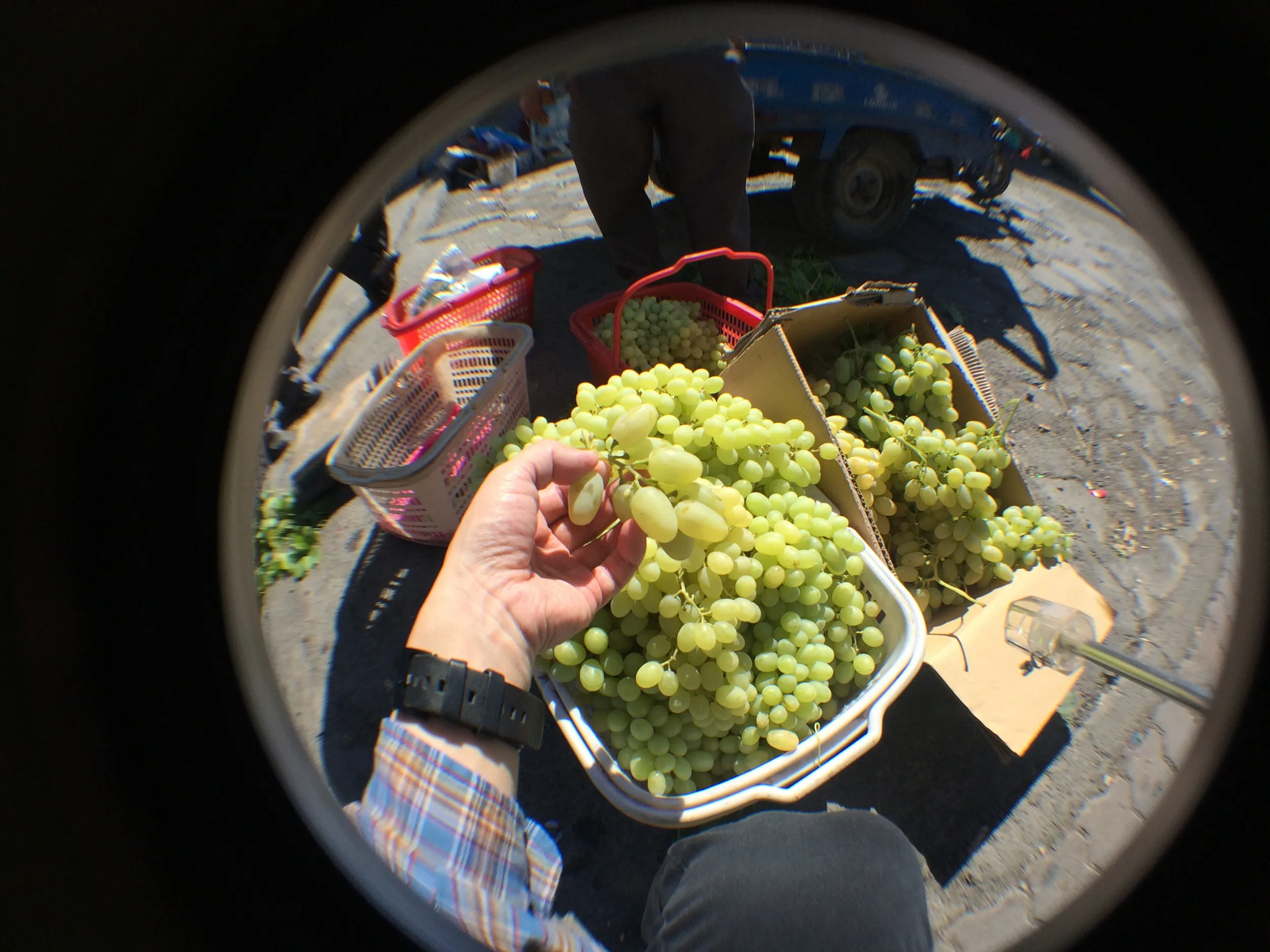 路上で買った超美味い葡萄