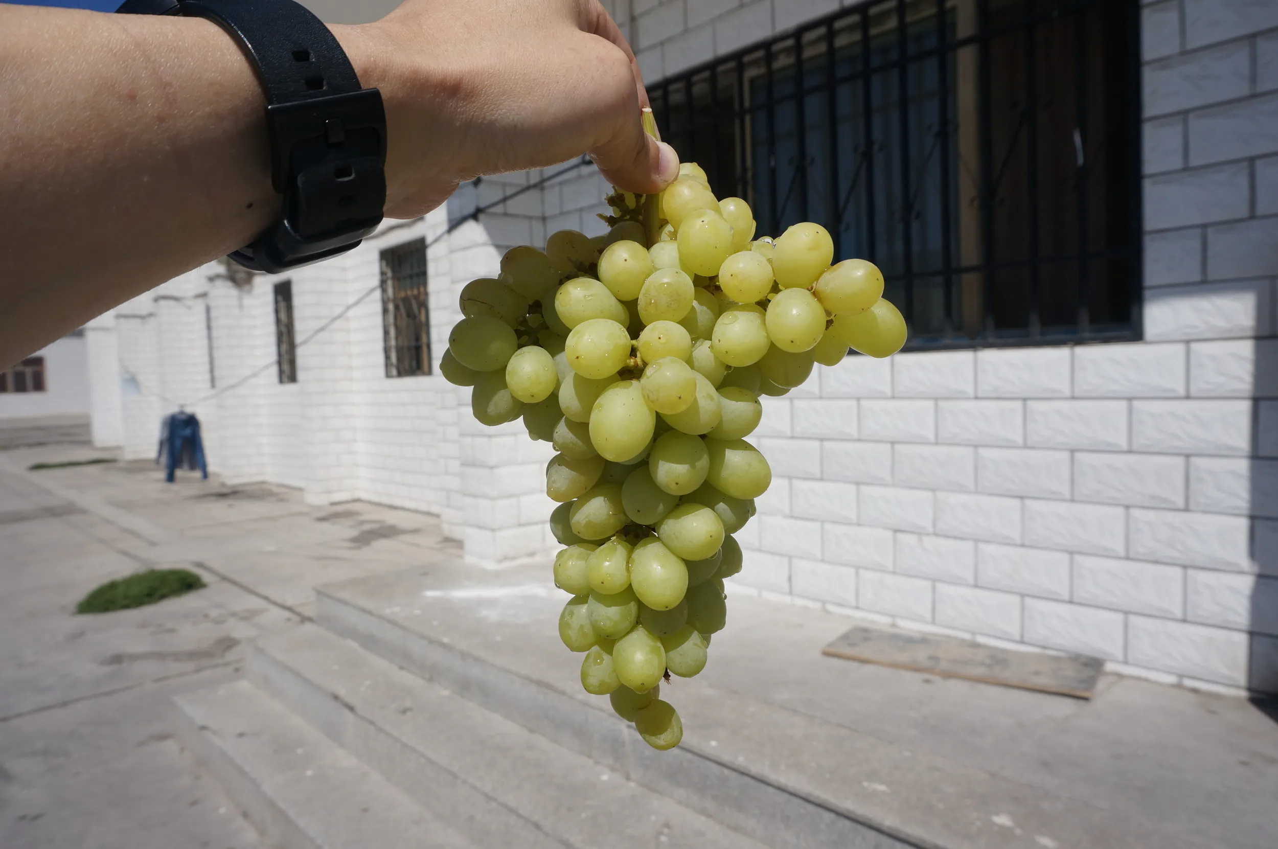 大河沿鎮のホテル