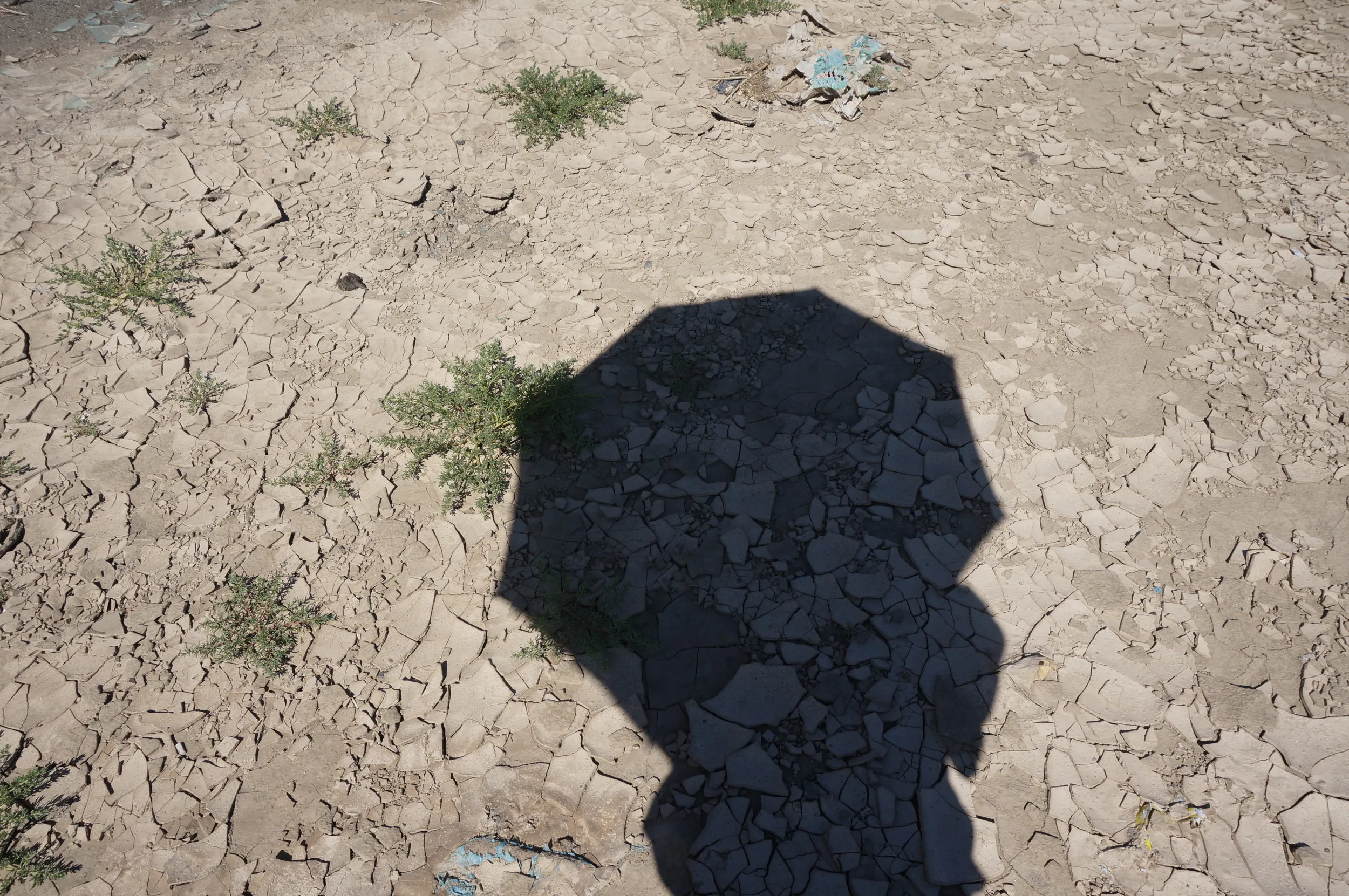 郊外の砂漠地帯へ向けて出発