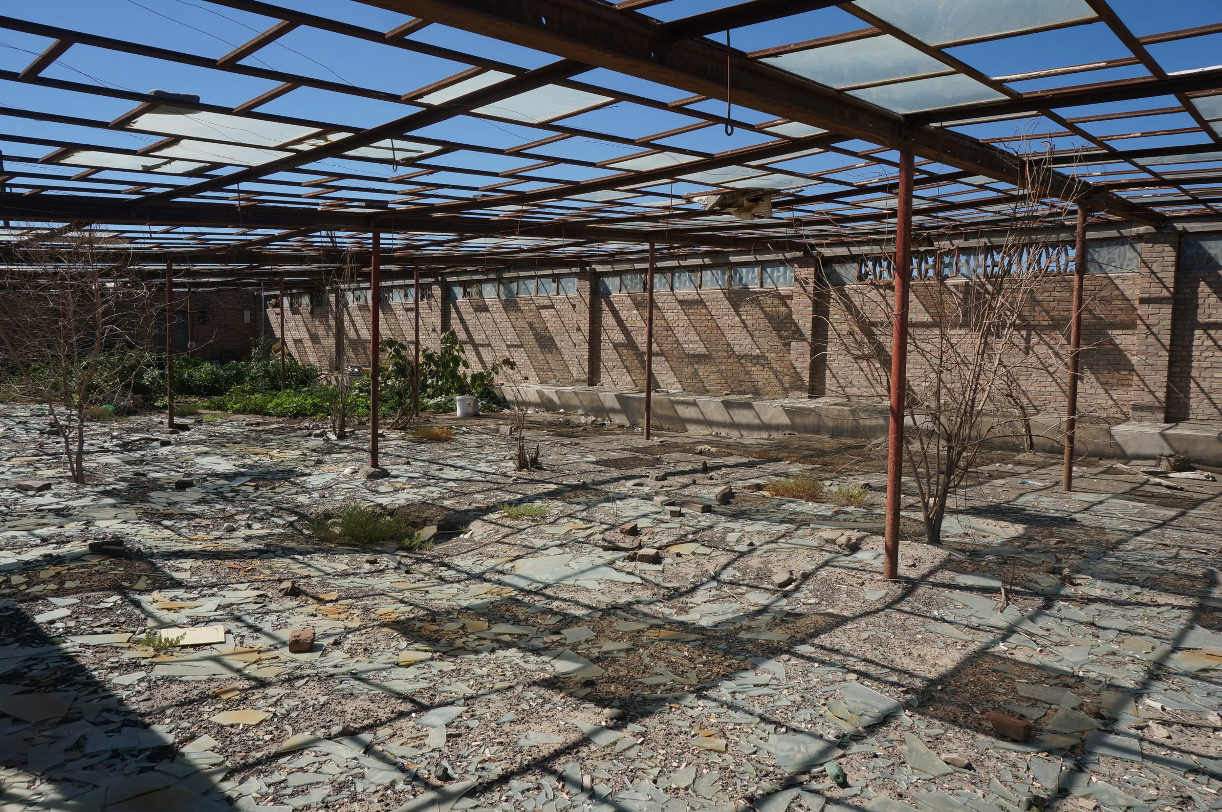 郊外の砂漠地帯へ向けて出発