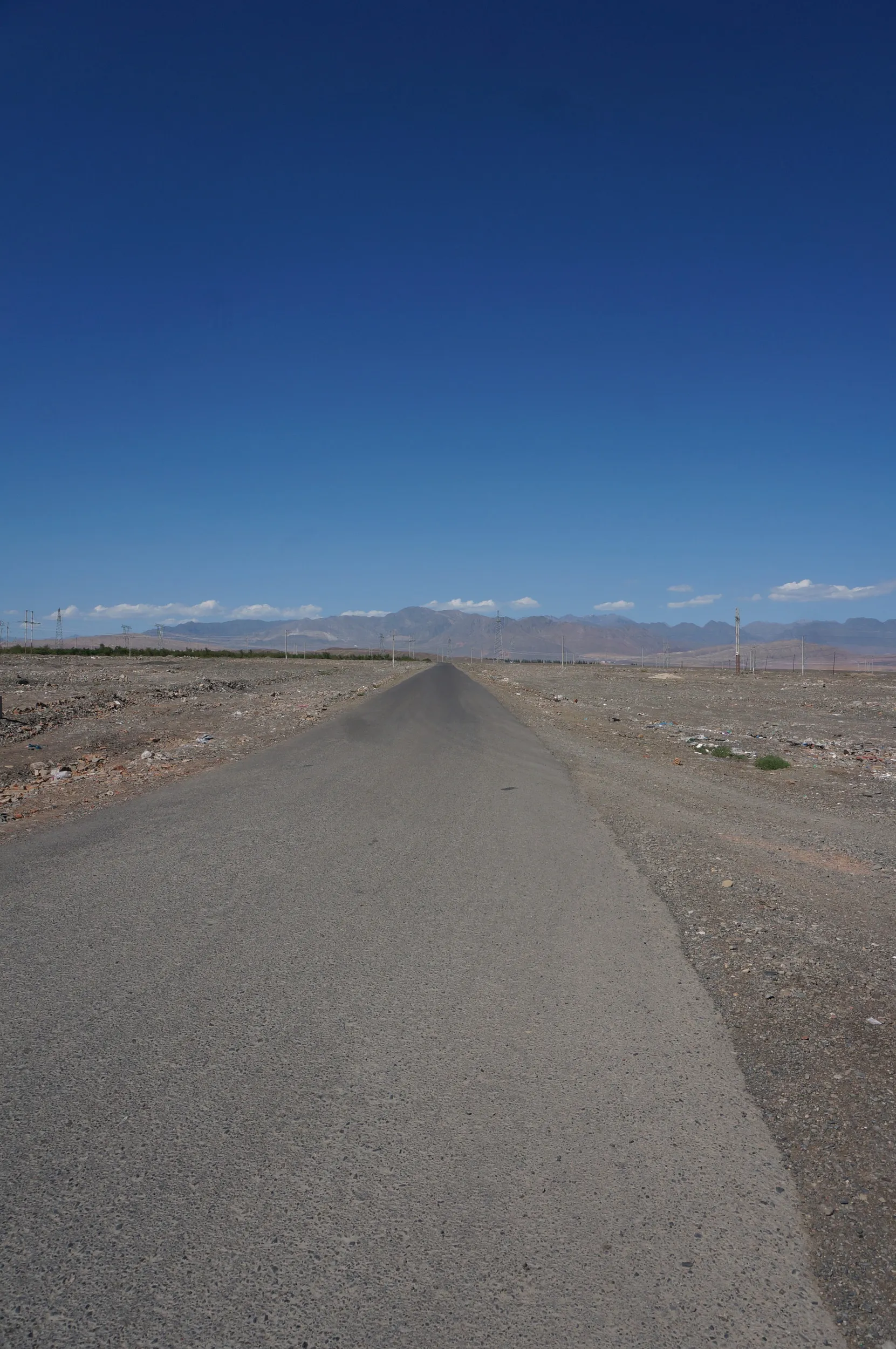 砂漠地帯を散歩