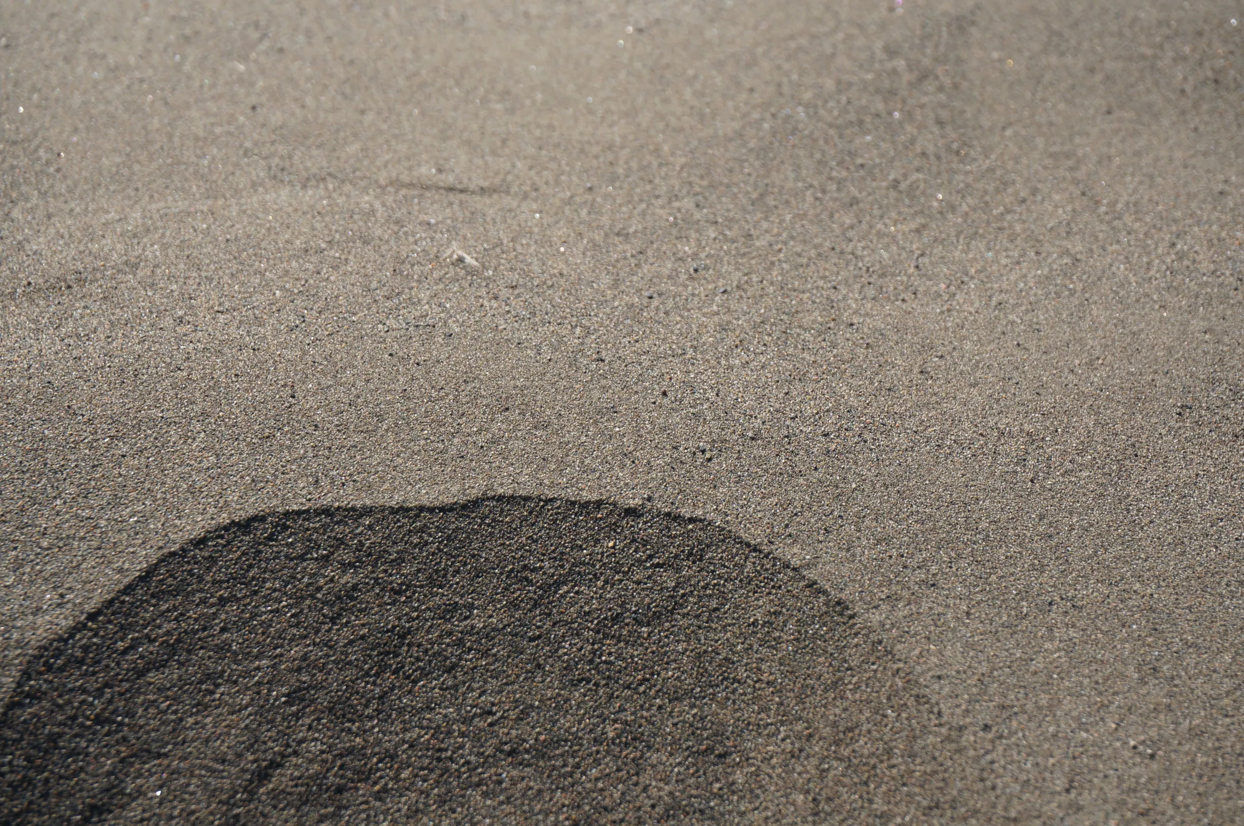 砂漠地帯を散歩