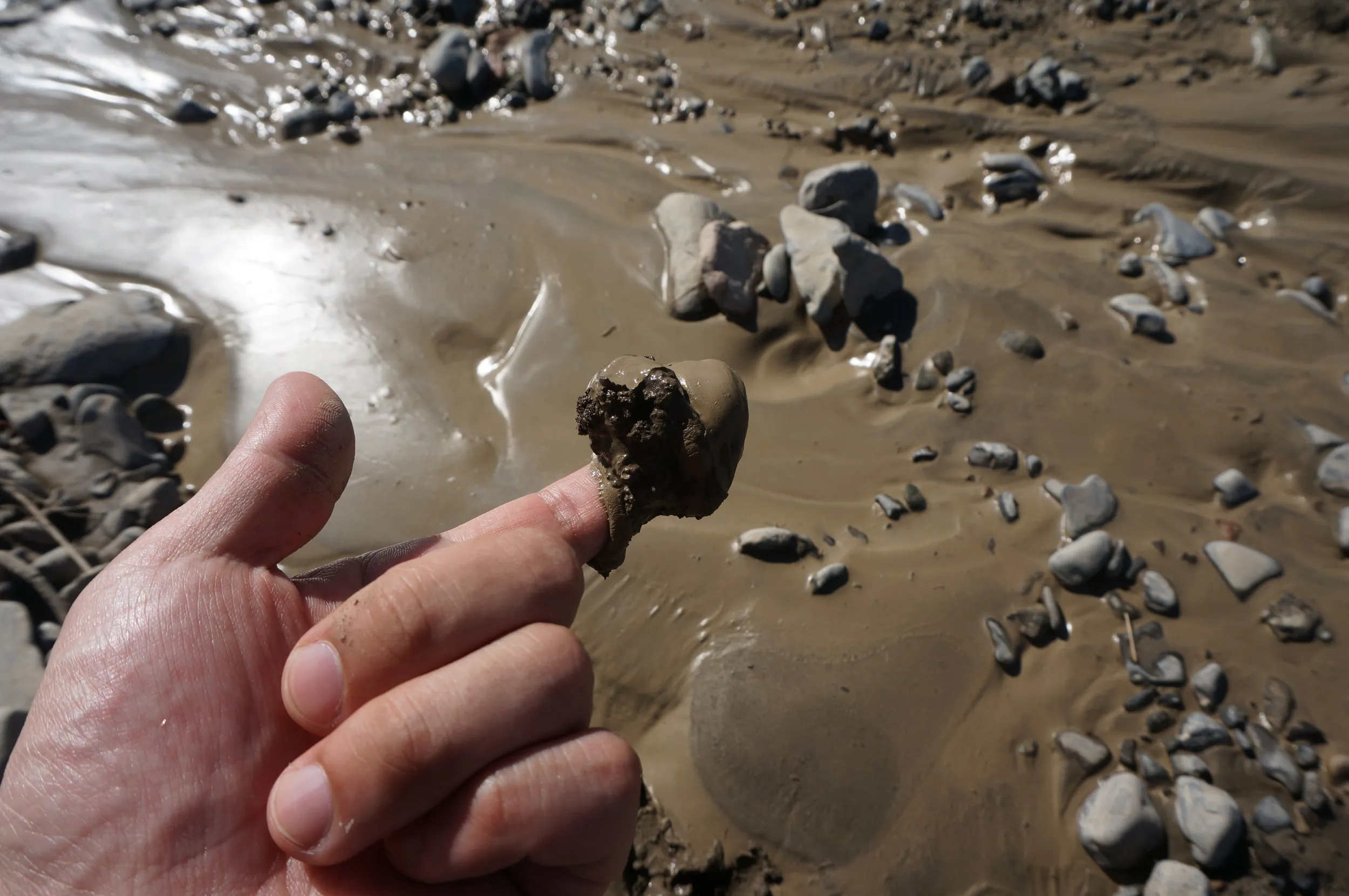 砂漠地帯を散歩