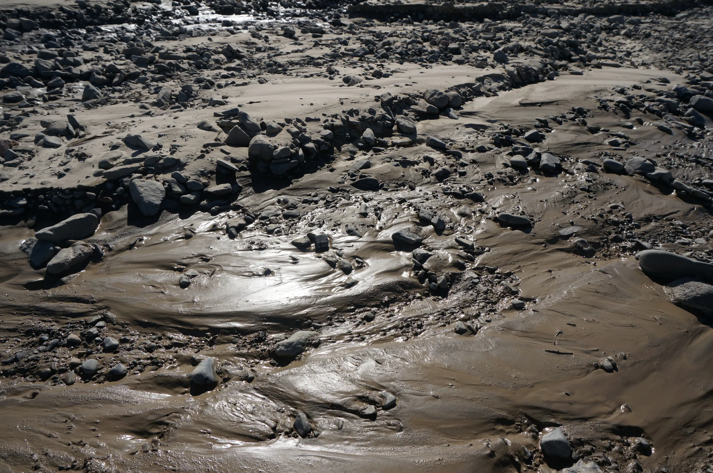 砂漠地帯を散歩